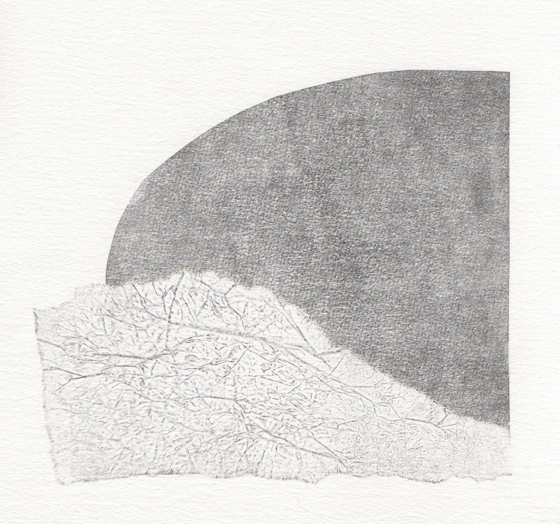Tako - Monotype 14 x 14 cm