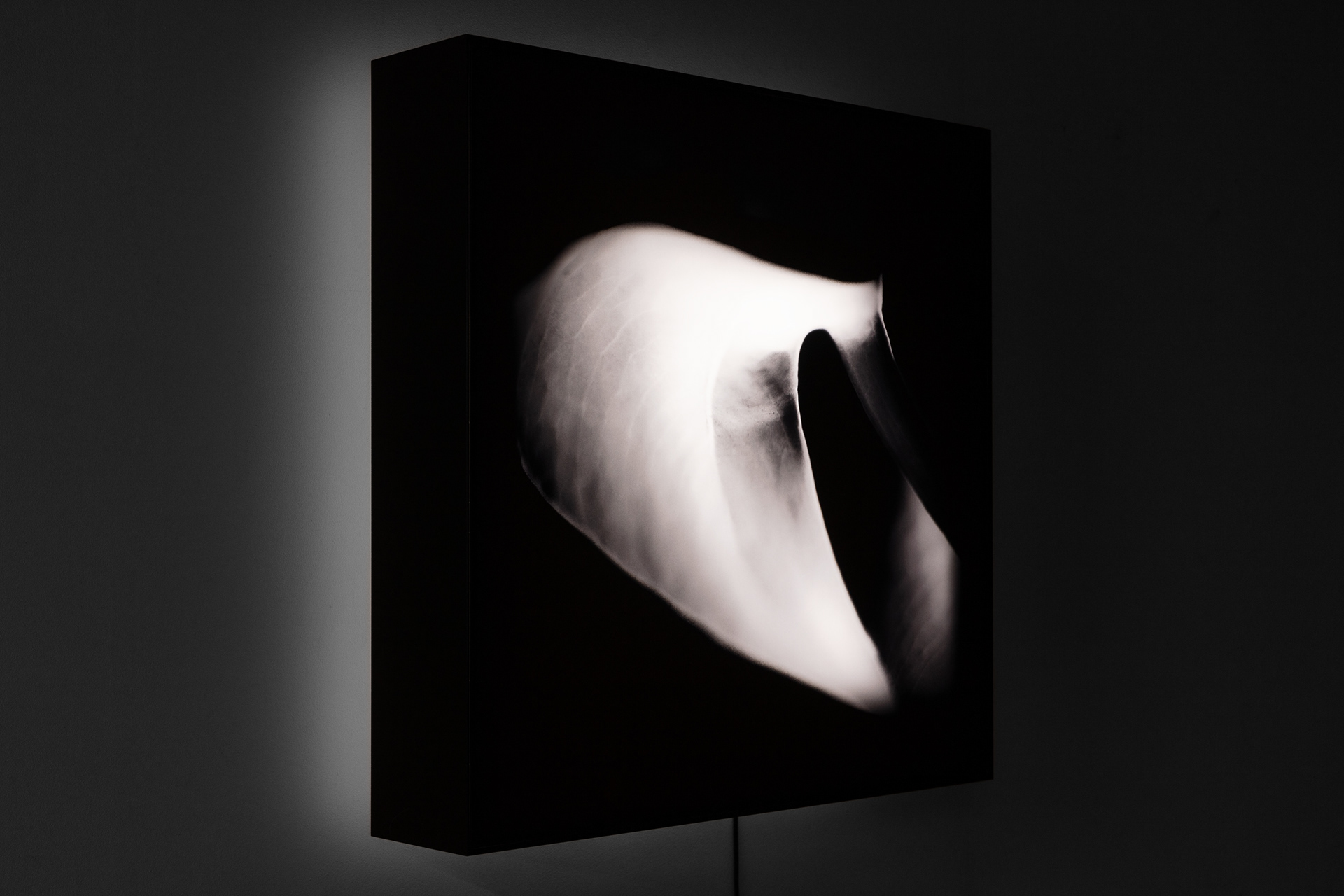 Scott Perkins - Michael Reid Sydney + Berlin