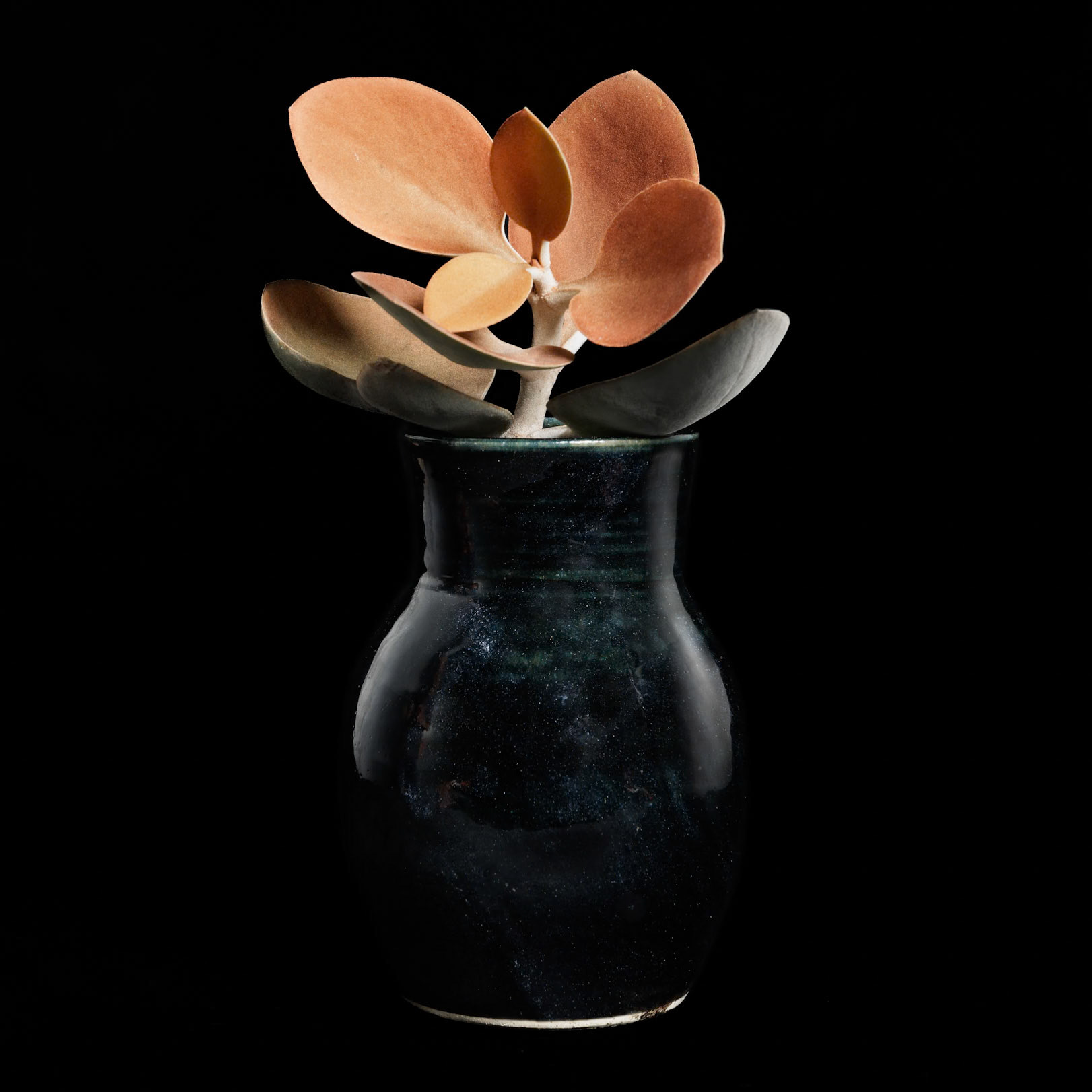 Ceramics collection - Rill & Stone
