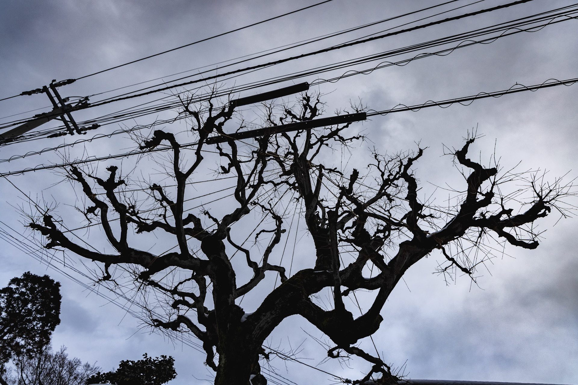 Samurai precinct, Kanazawa, Japan