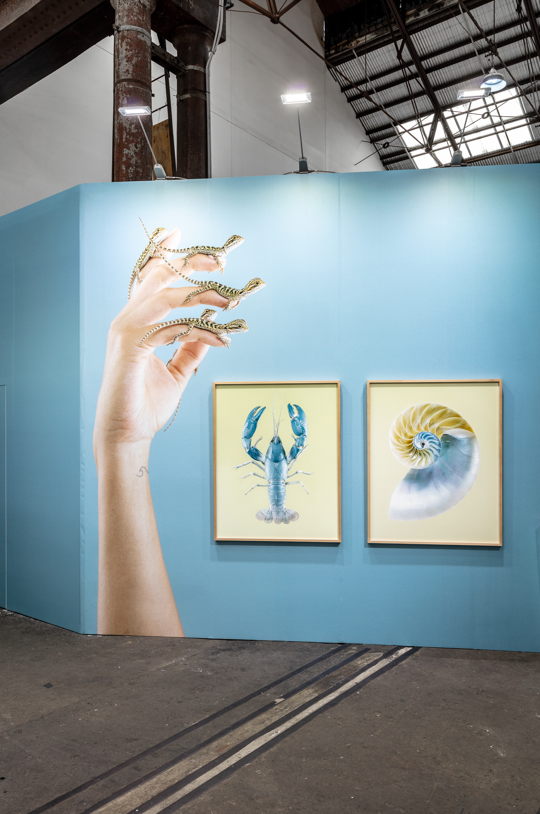 Sydney Contemporary - Michael Reid Sydney + Berlin