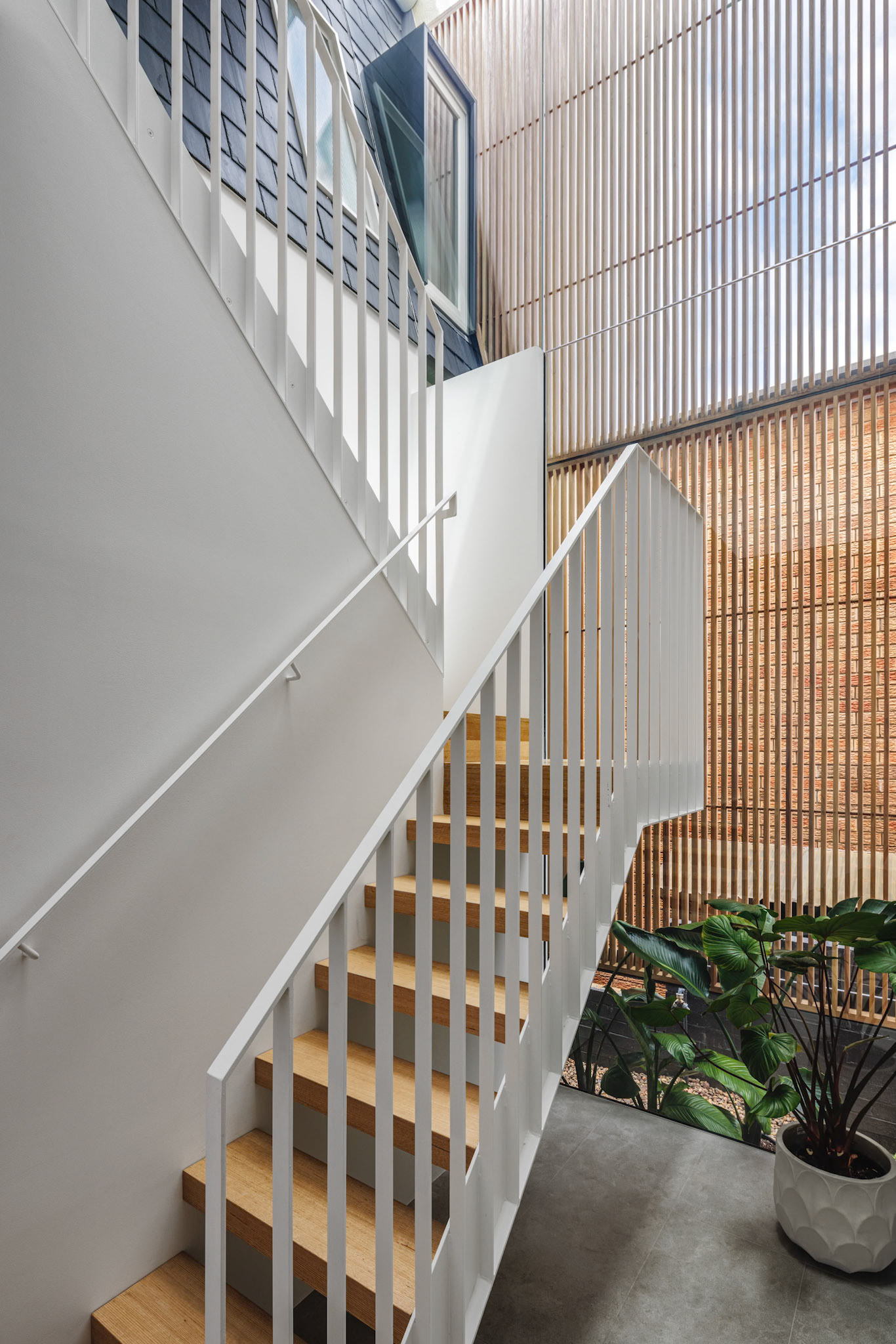 House extension, Clovelly - Challis Smedley Architect