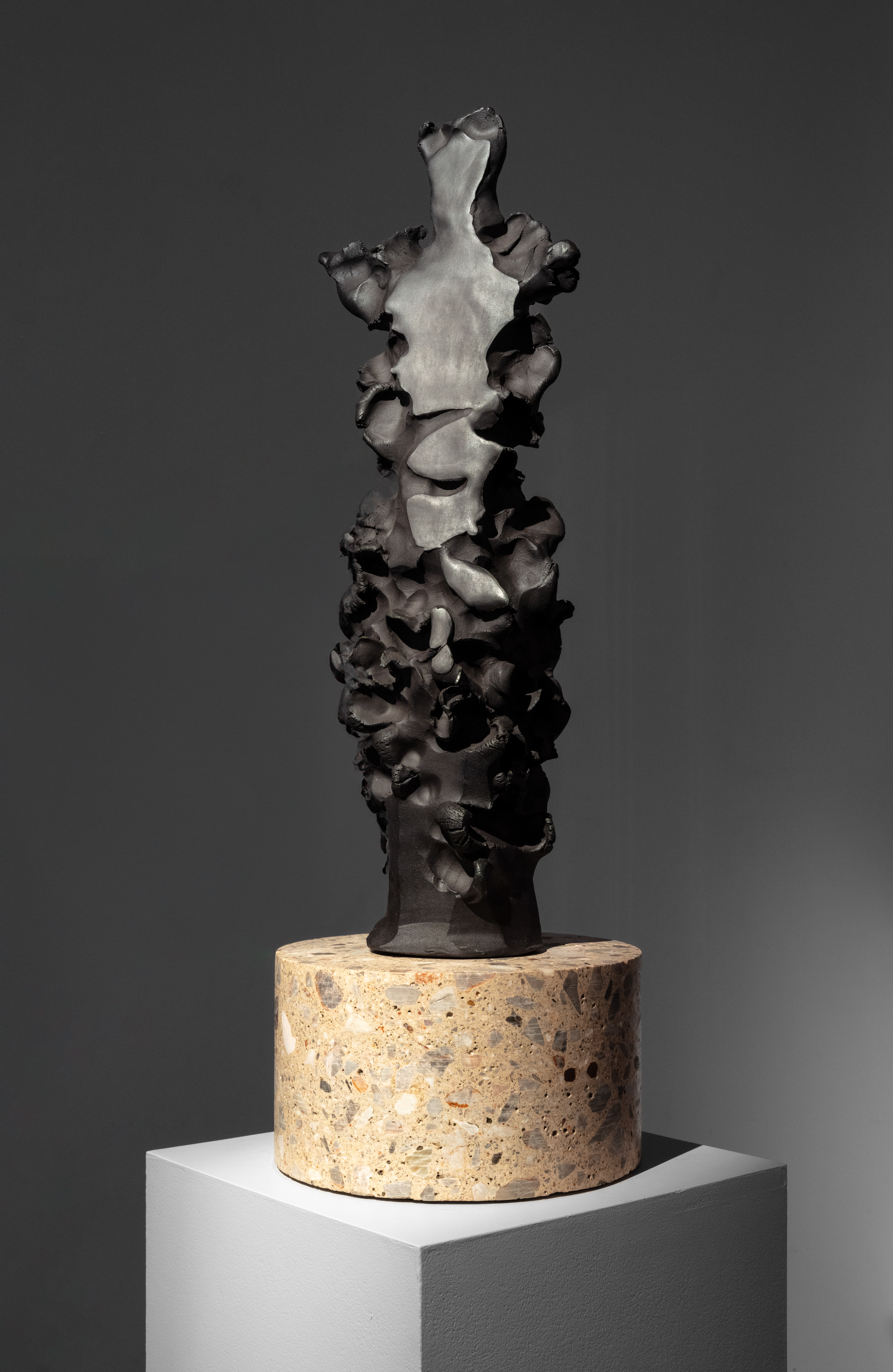 Andrew Hazewinkel - Olsen Gallery