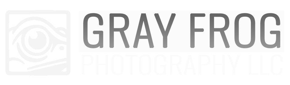Gray Frog Photography