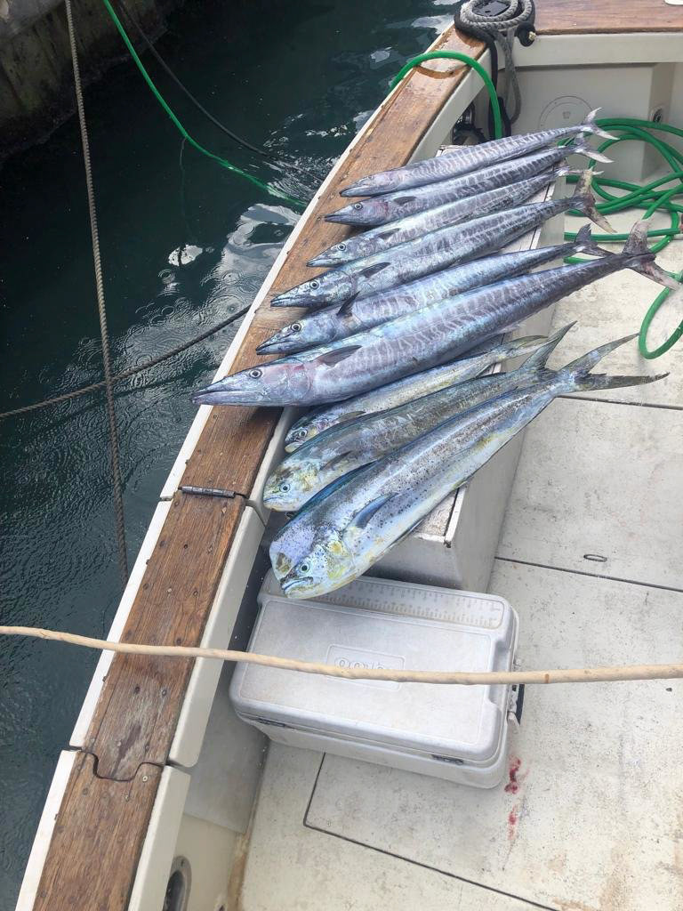 Legacy Fishing Charters Barbados