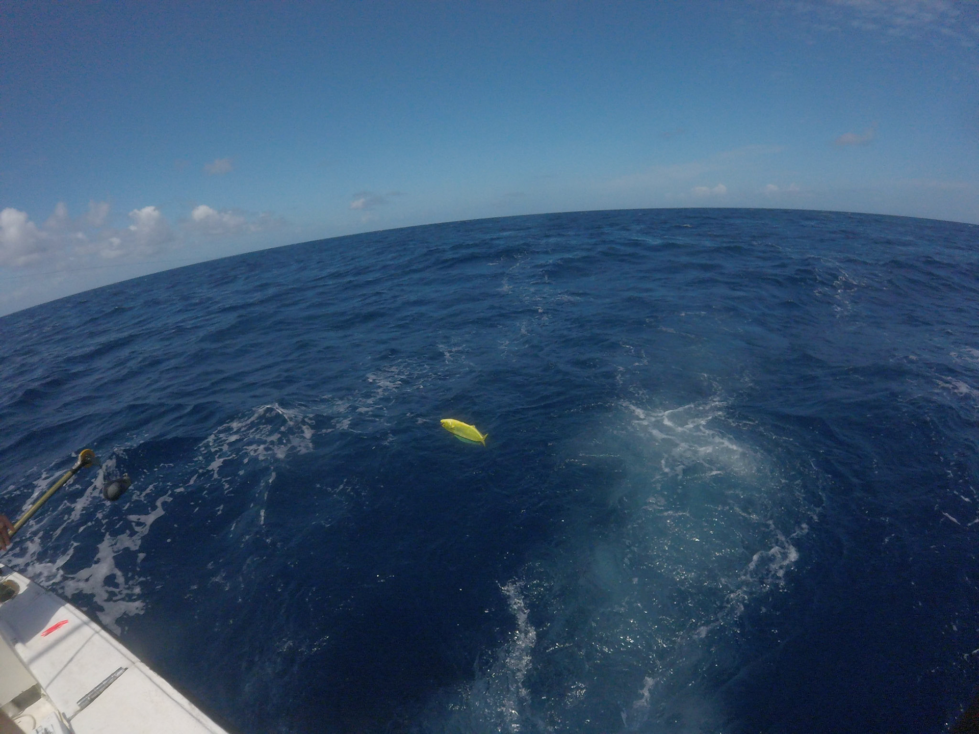 DCIM\100GOPRO