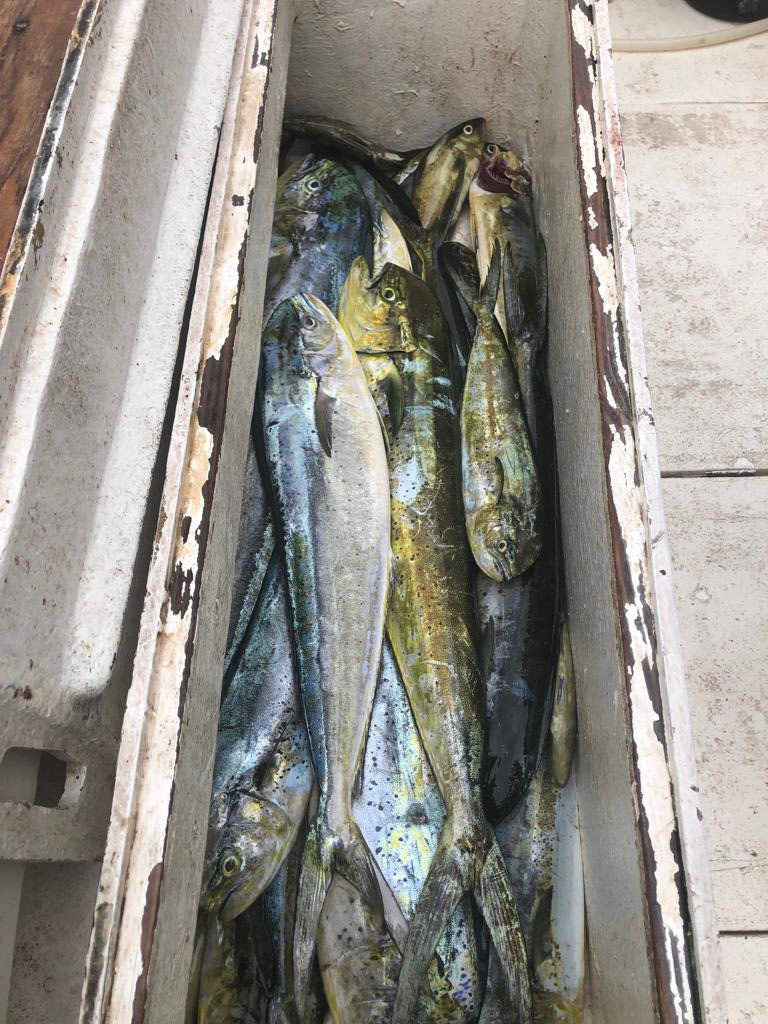 Legacy Fishing Charters Barbados