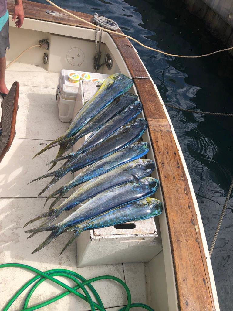 Legacy Fishing Charters Barbados