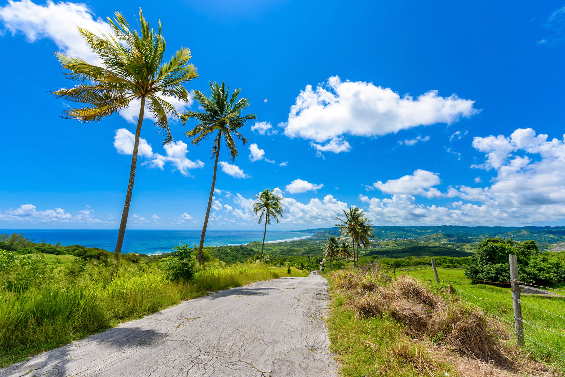 View from Cherry Tree Hill to tropical coast of  caribbean island Barbados