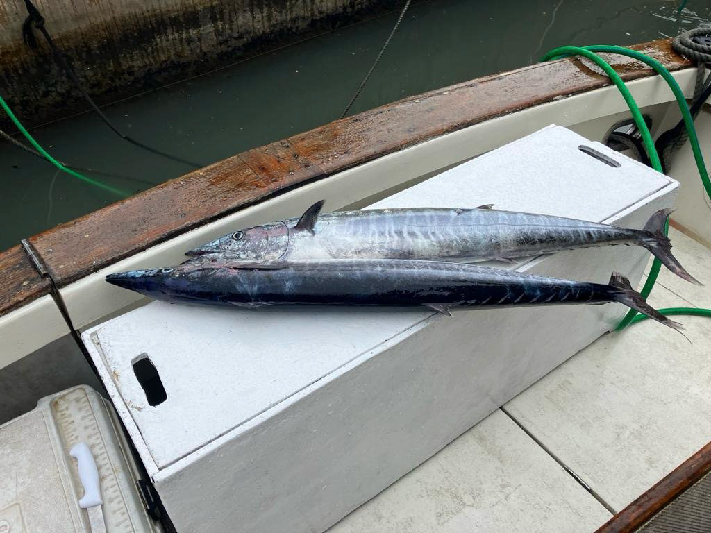 Legacy Fishing Charters Barbados