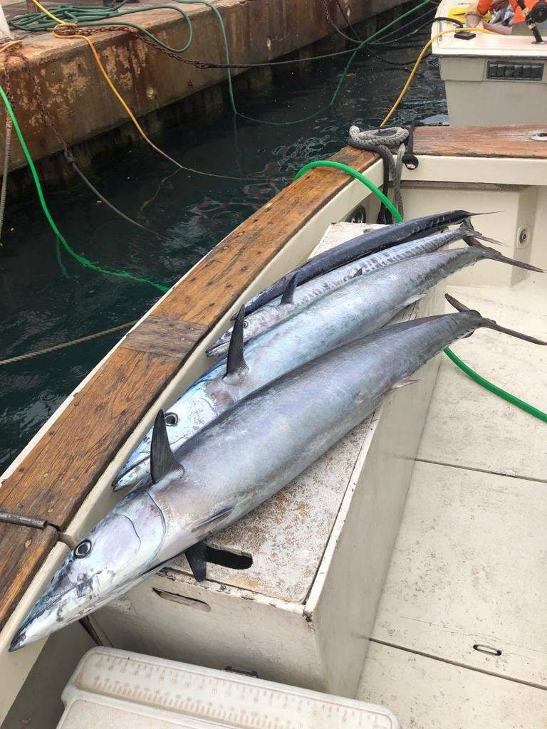 Legacy Fishing Charters Barbados