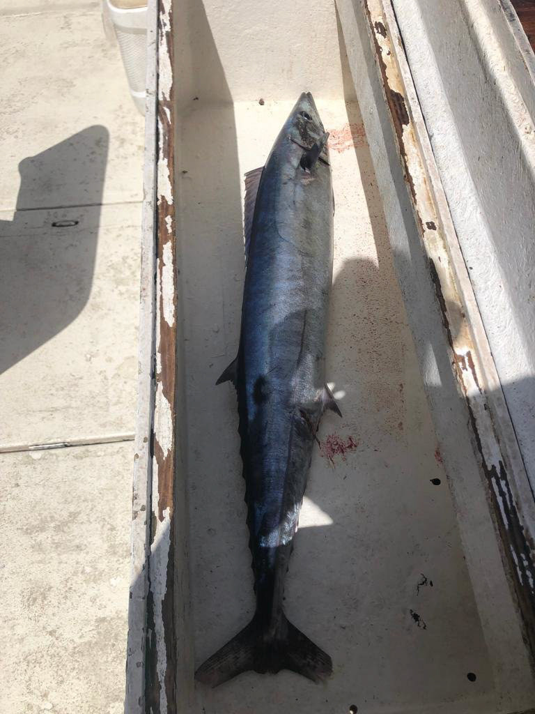 Legacy Fishing Charters Barbados