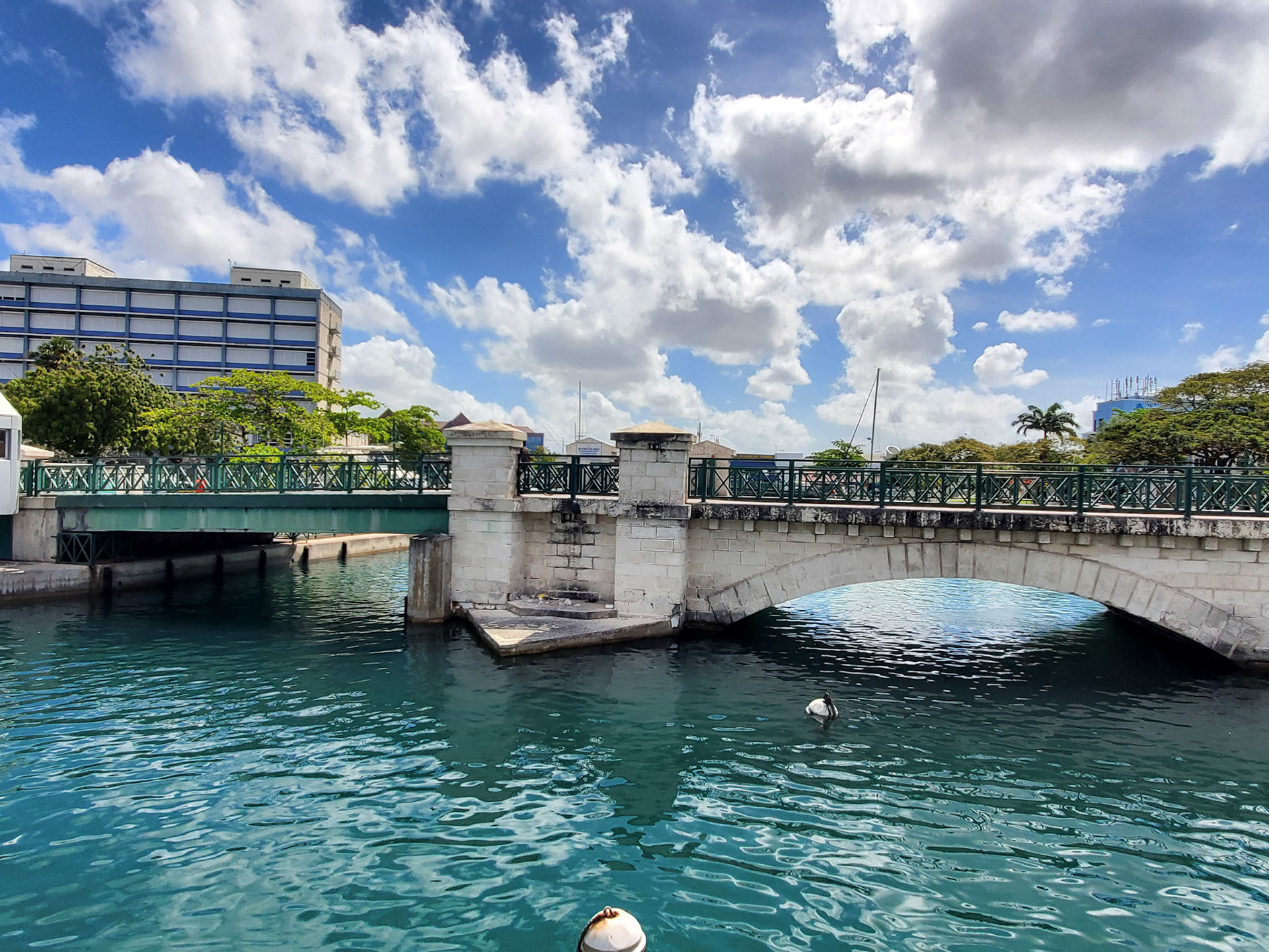 Legacy Fishing Charters Barbados