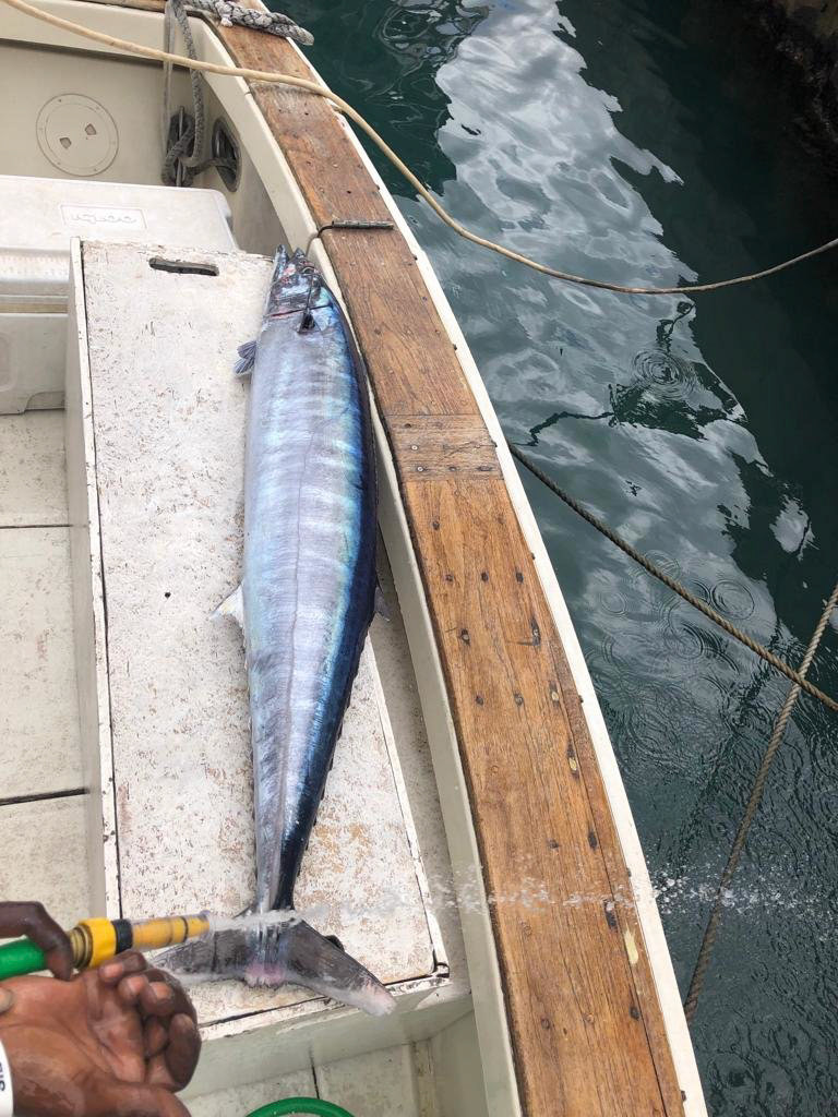 Legacy Fishing Charters Barbados