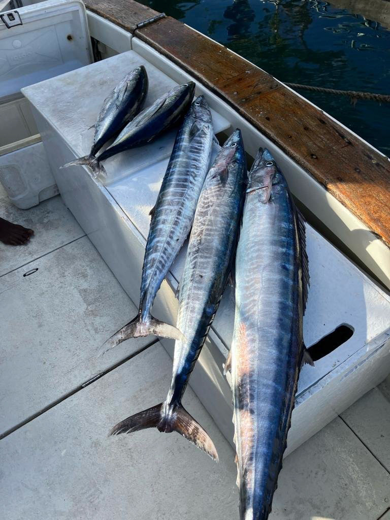 Legacy Fishing Charters Barbados