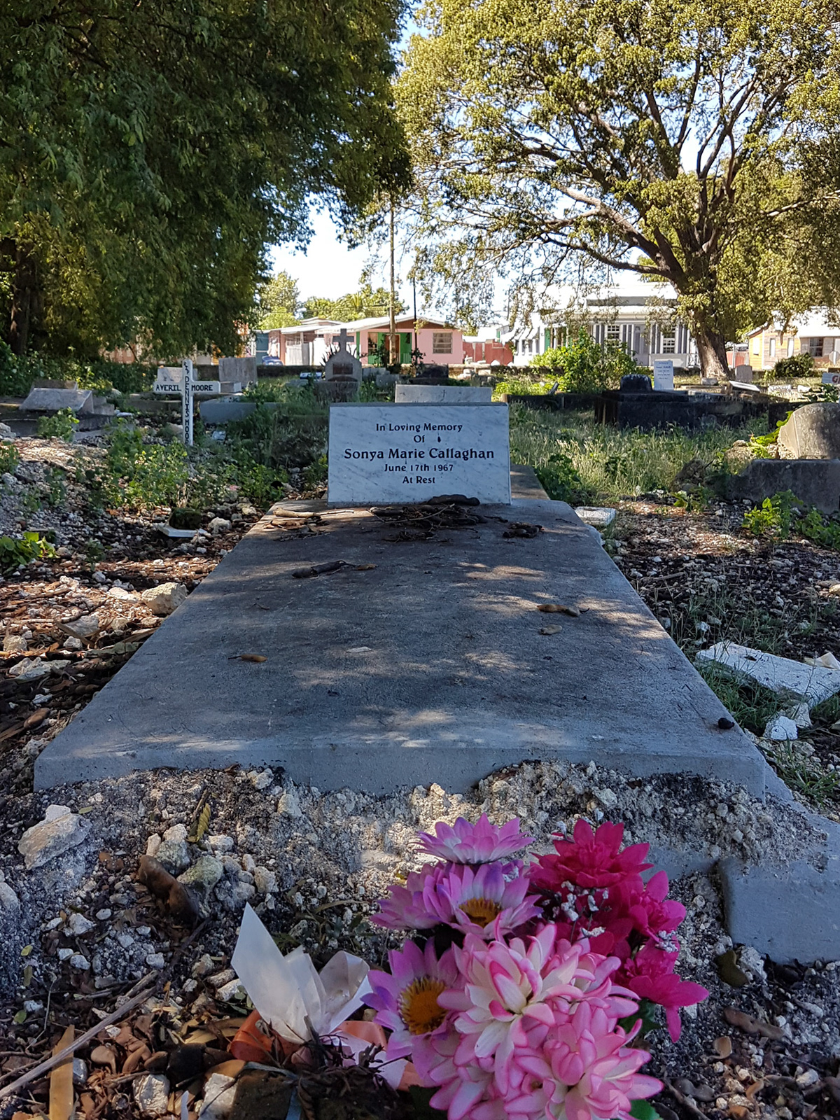 Barbados Photos - Westbury Cemetery