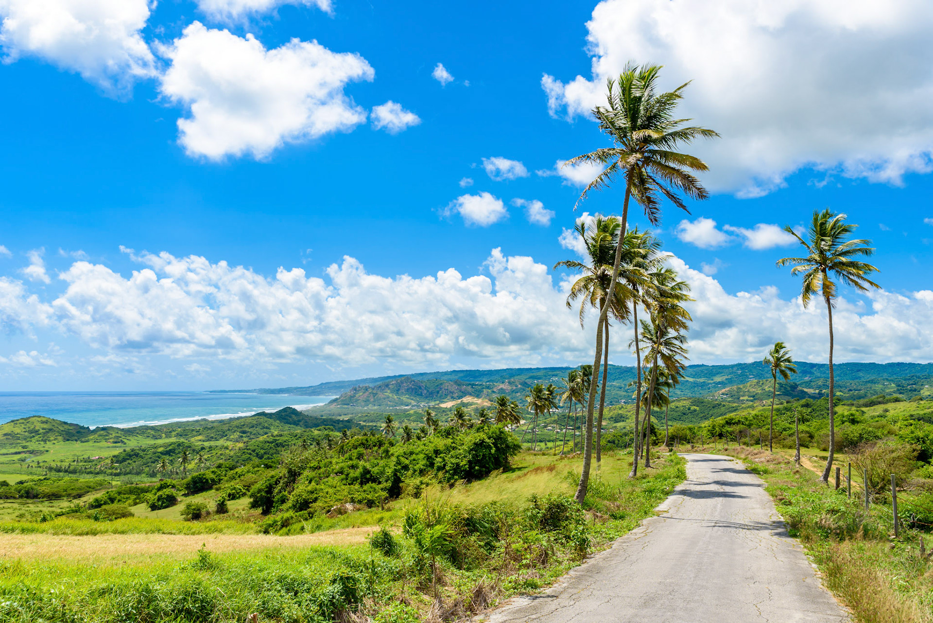 View from Cherry Tree Hill to tropical coast of  caribbean island Barbados