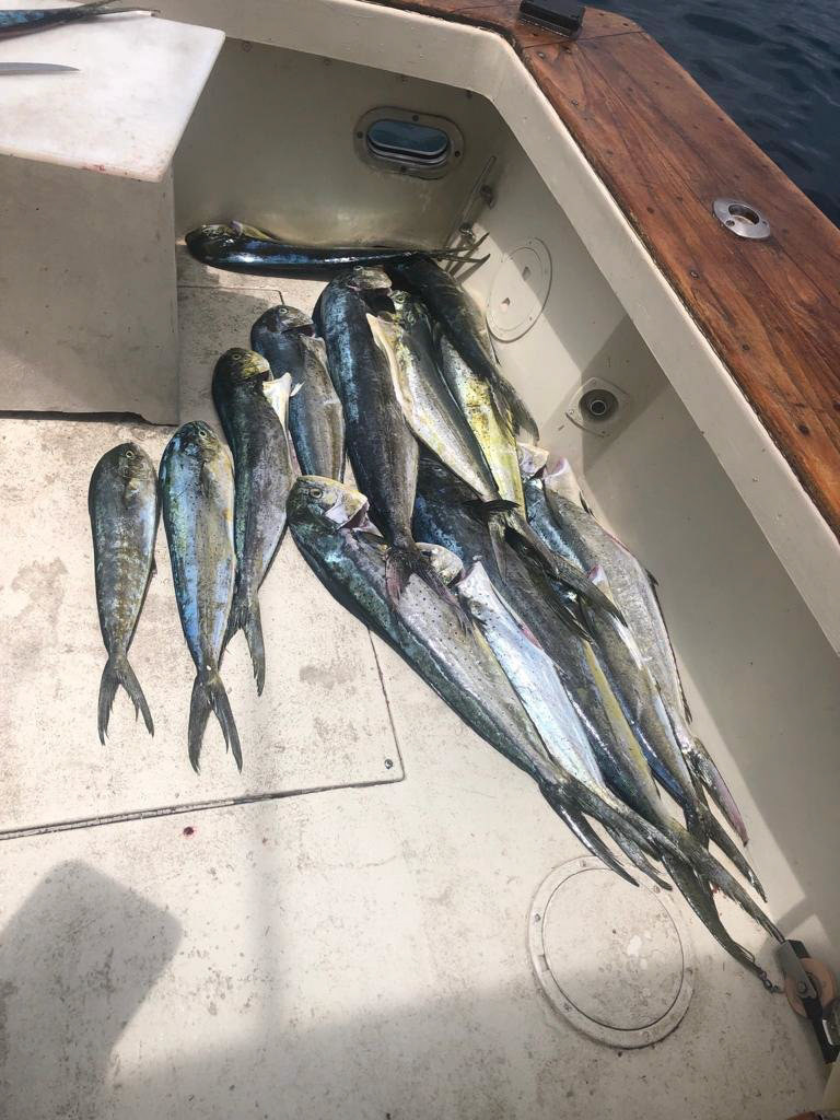 Legacy Fishing Charters Barbados