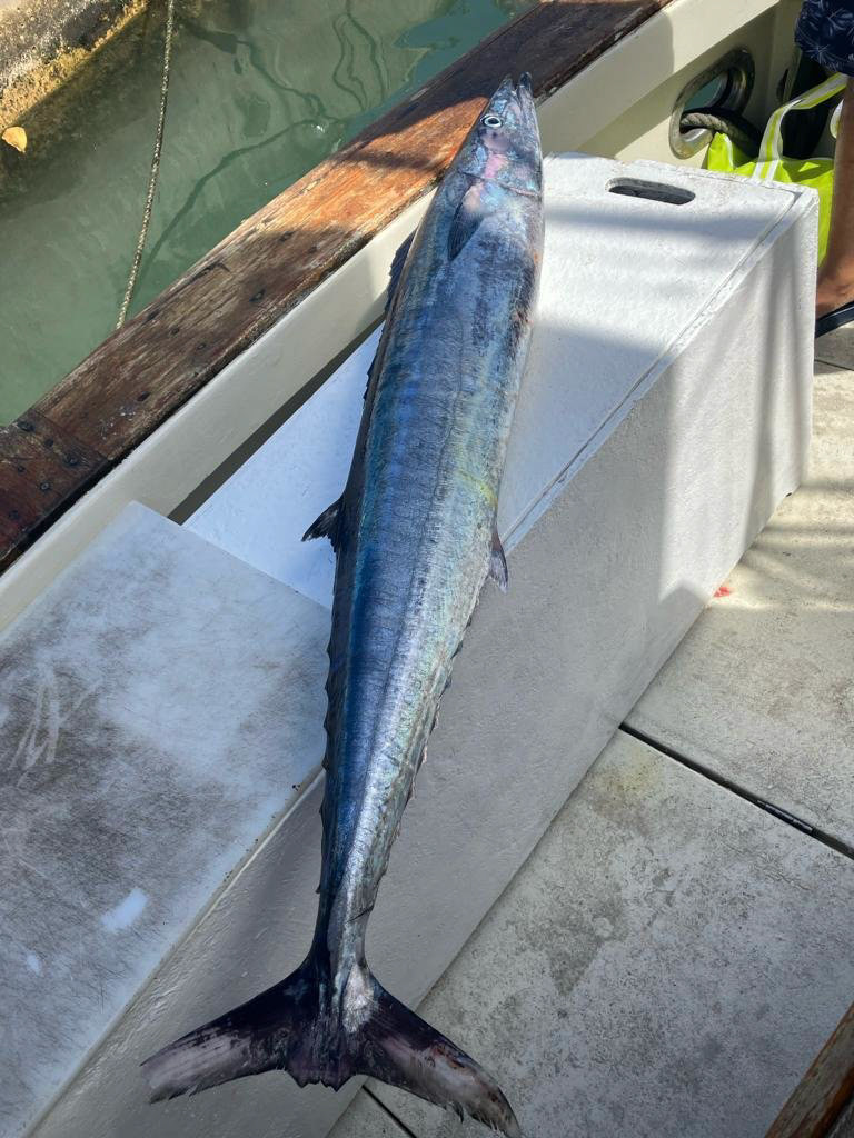 Legacy Fishing Charters Barbados