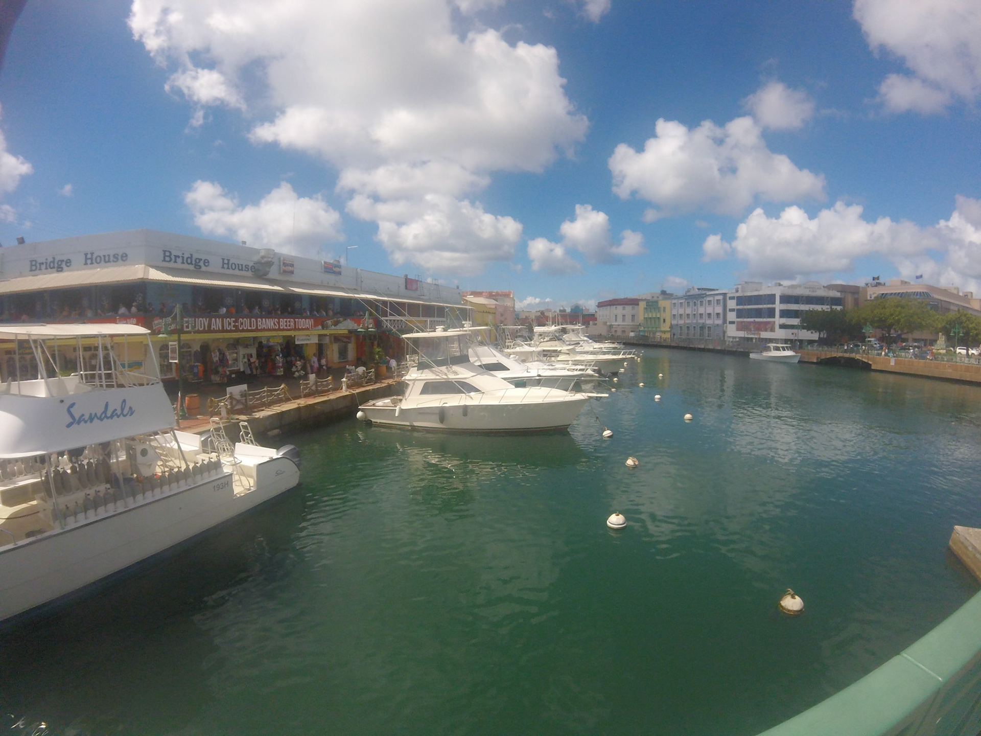 Legacy Fishing Charters Barbados