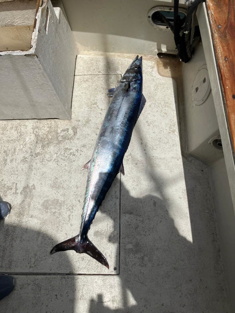 Legacy Fishing Charters Barbados