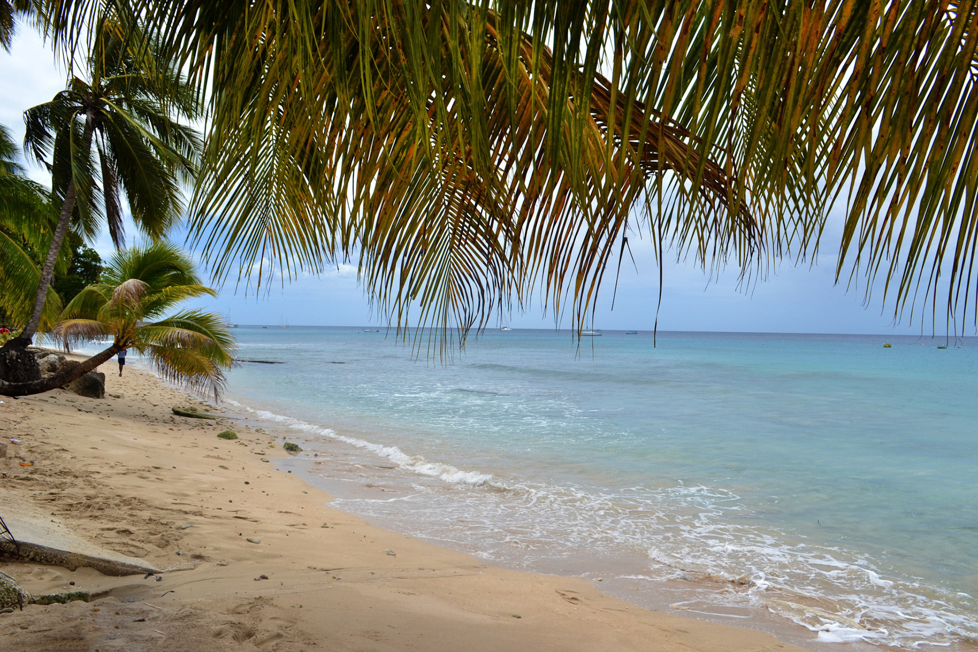 Visit Barbados