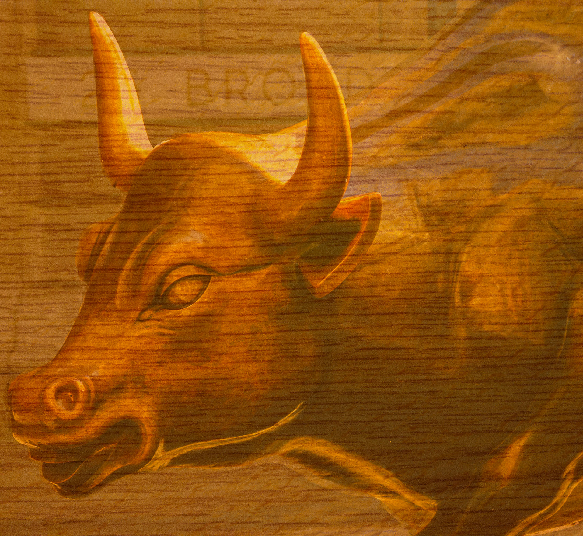 Wall Street Bull