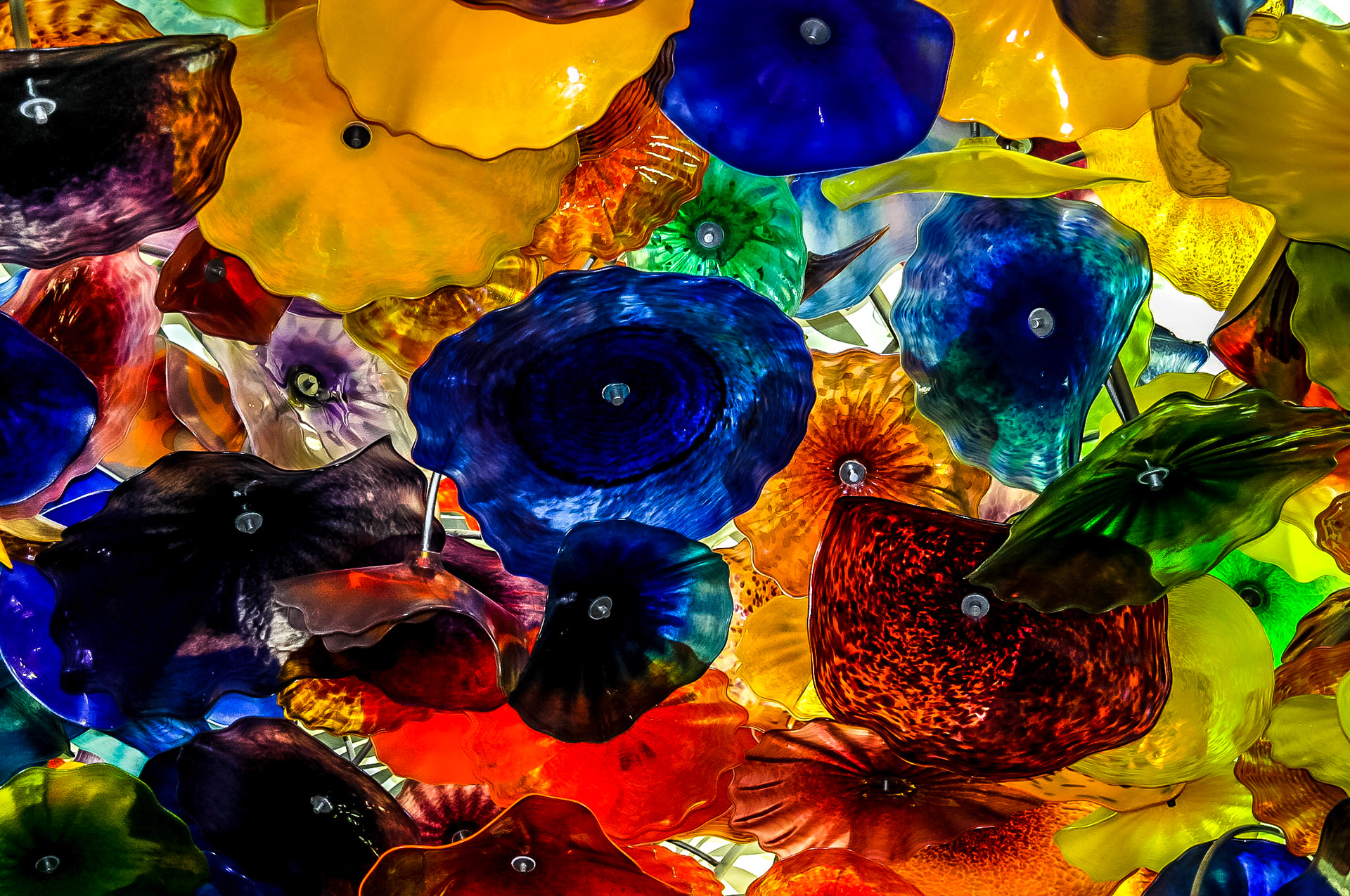 Bilogio Challuly Ceiling