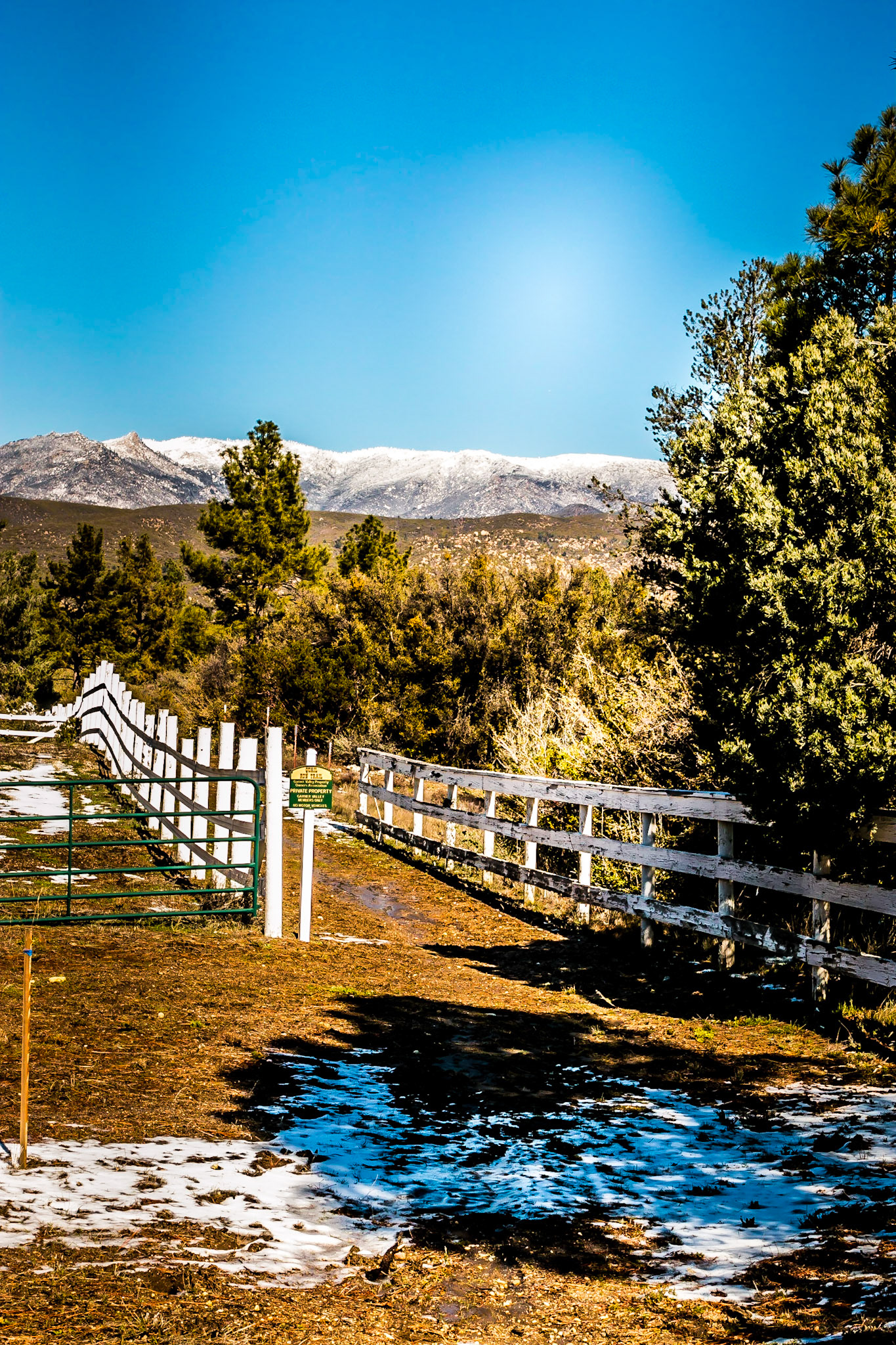 Idlyewild California