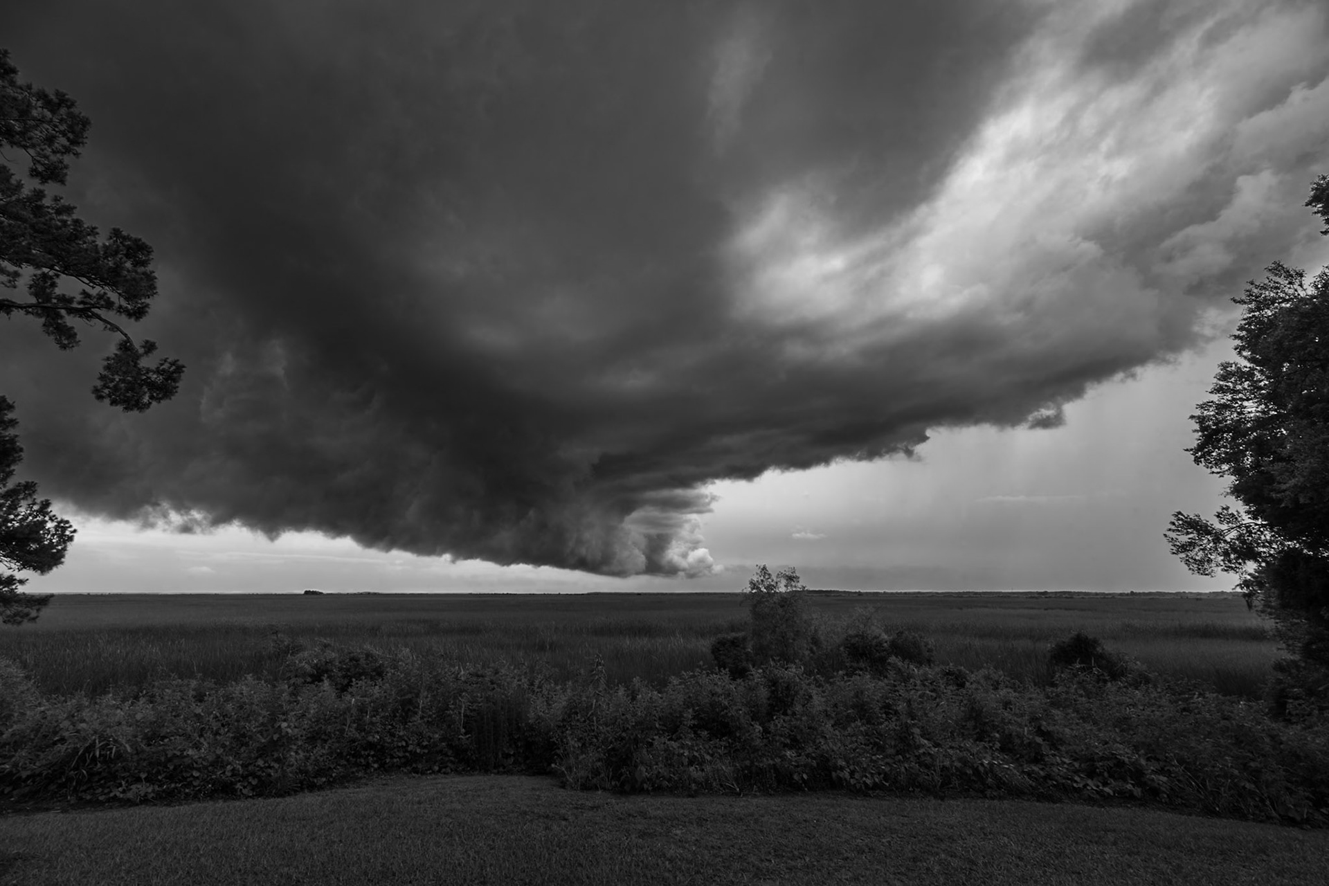 Incursion over the Marsh