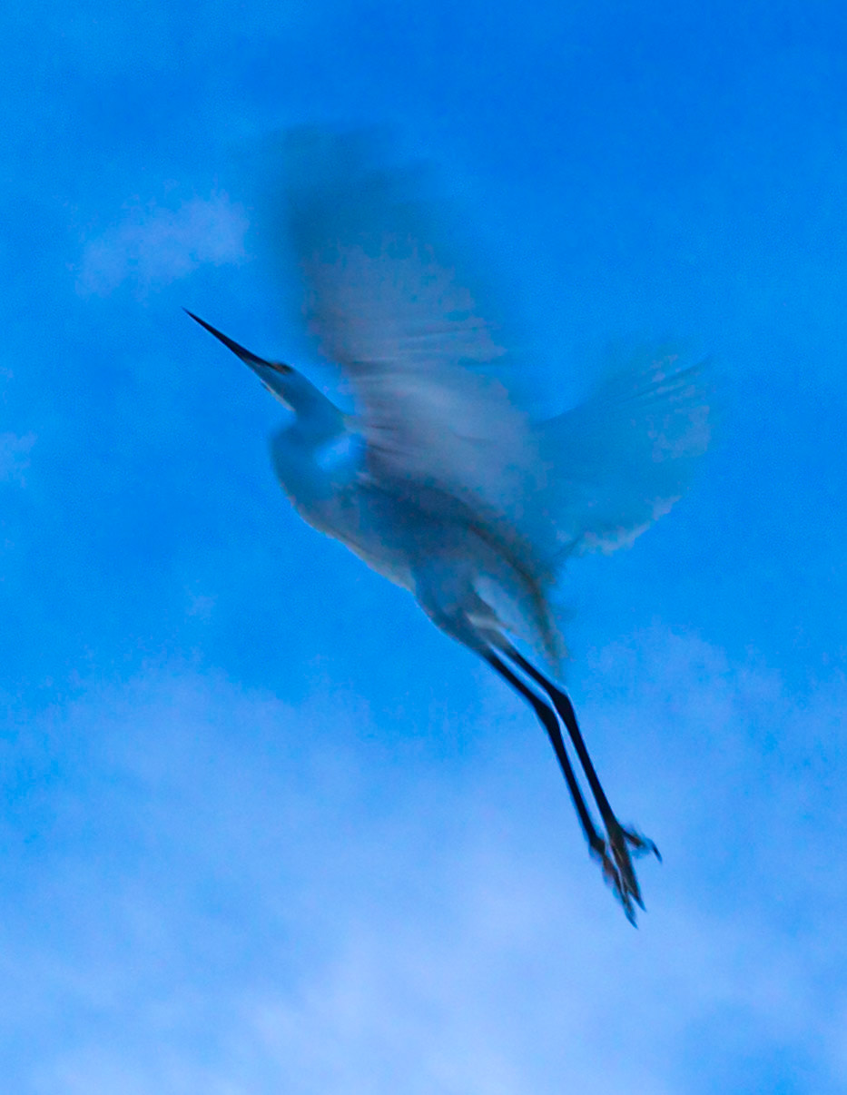 Flight