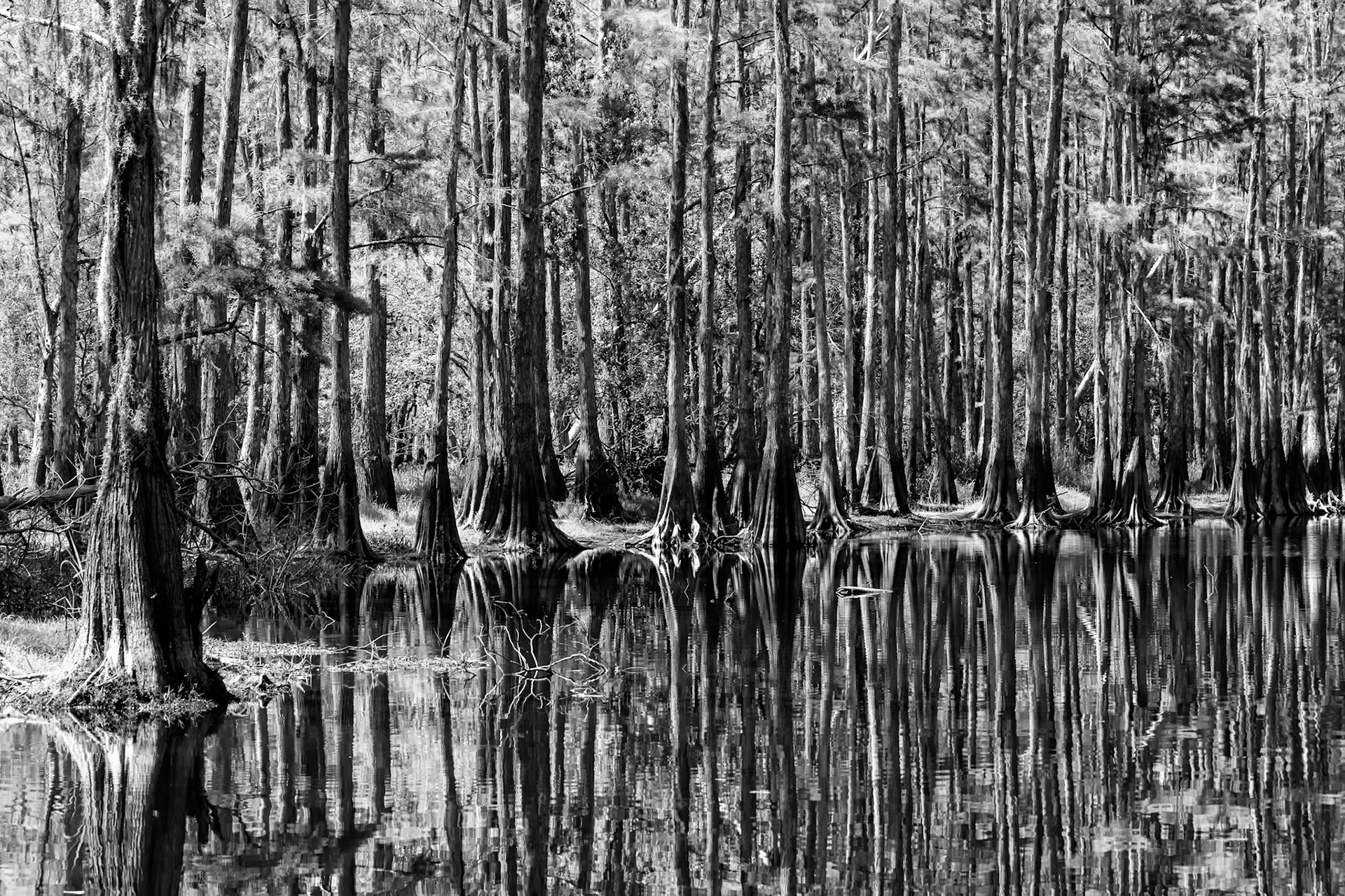 Stillwater Reflections