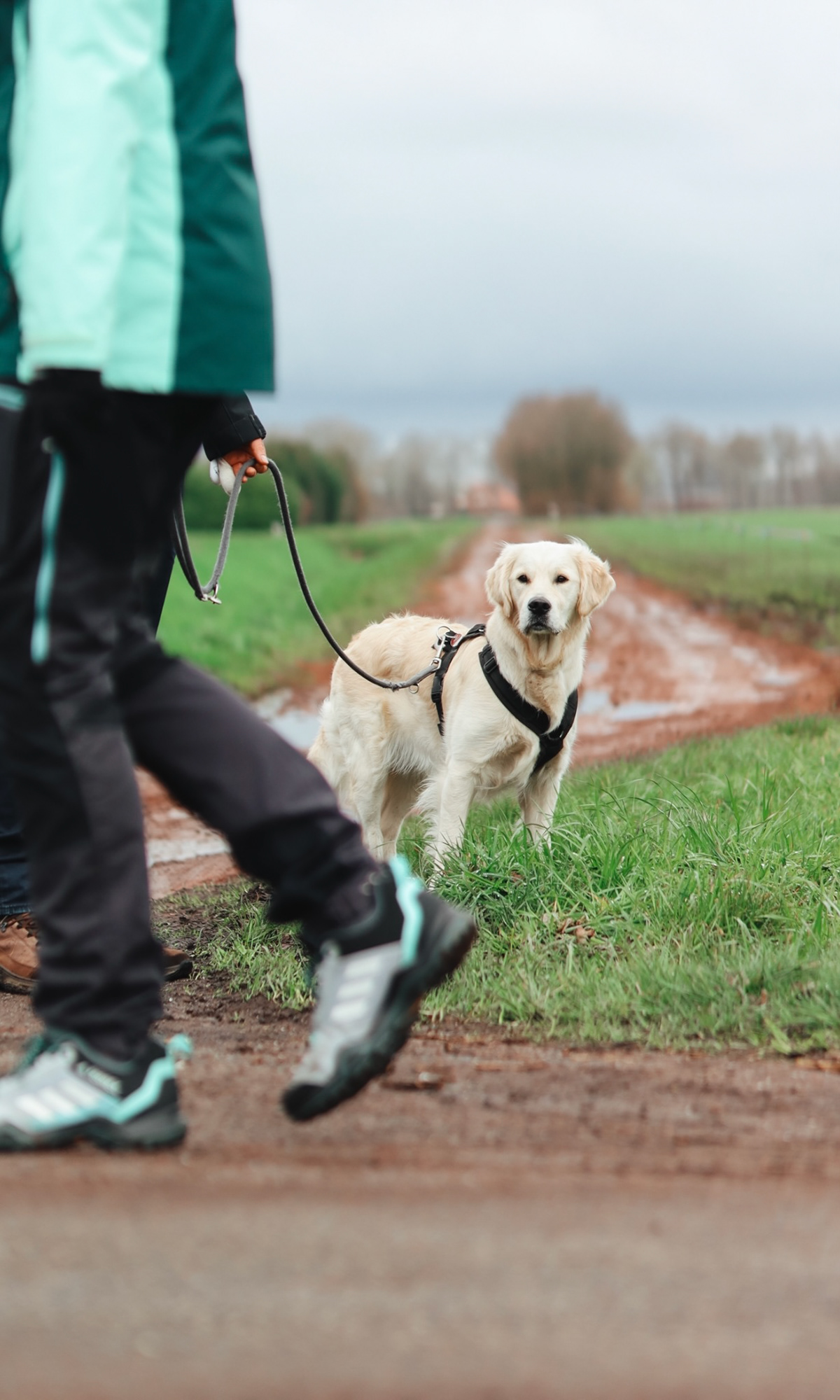 Hundezentrum
