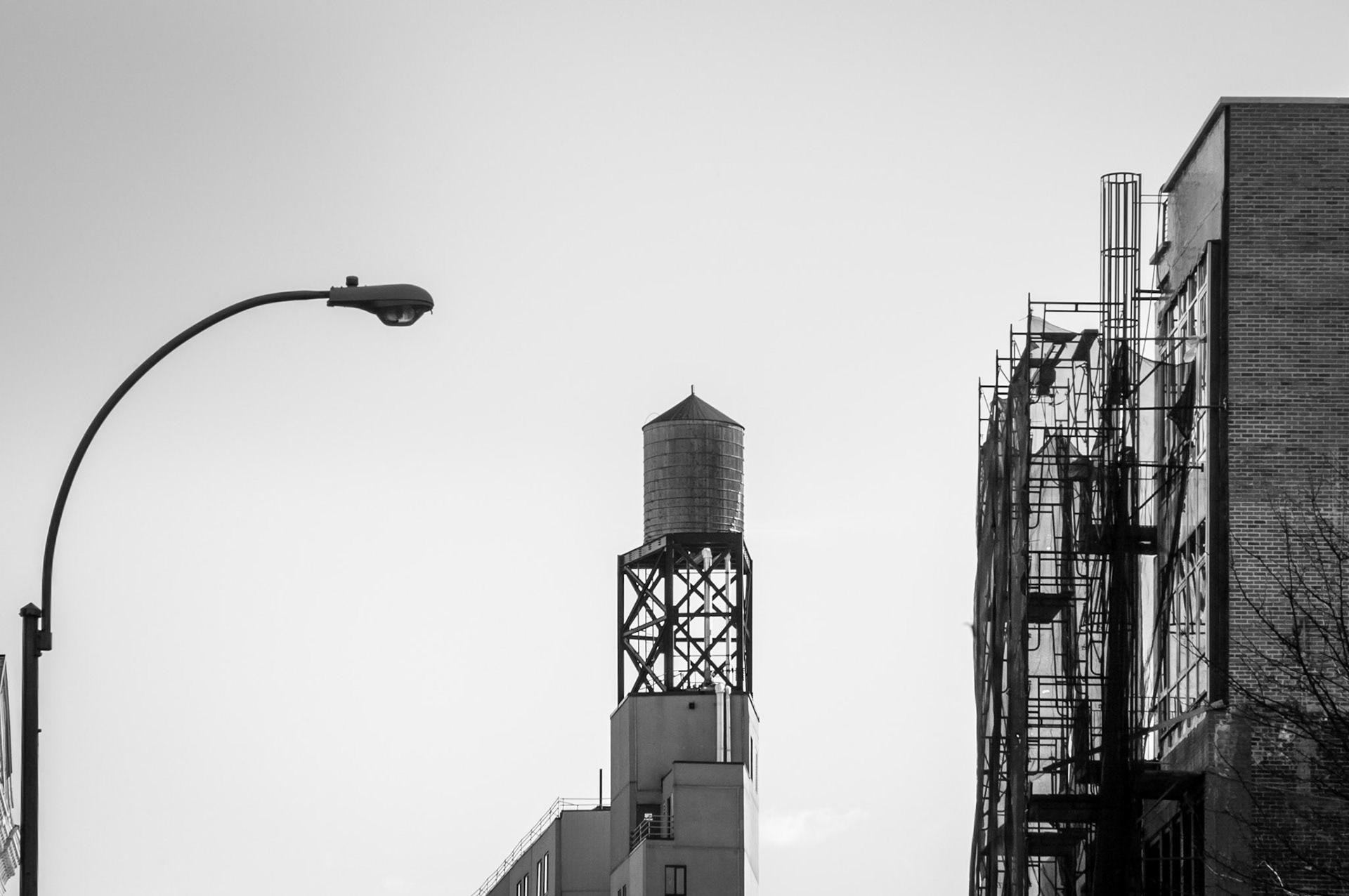 up, new york, tank, roof, filippo poli