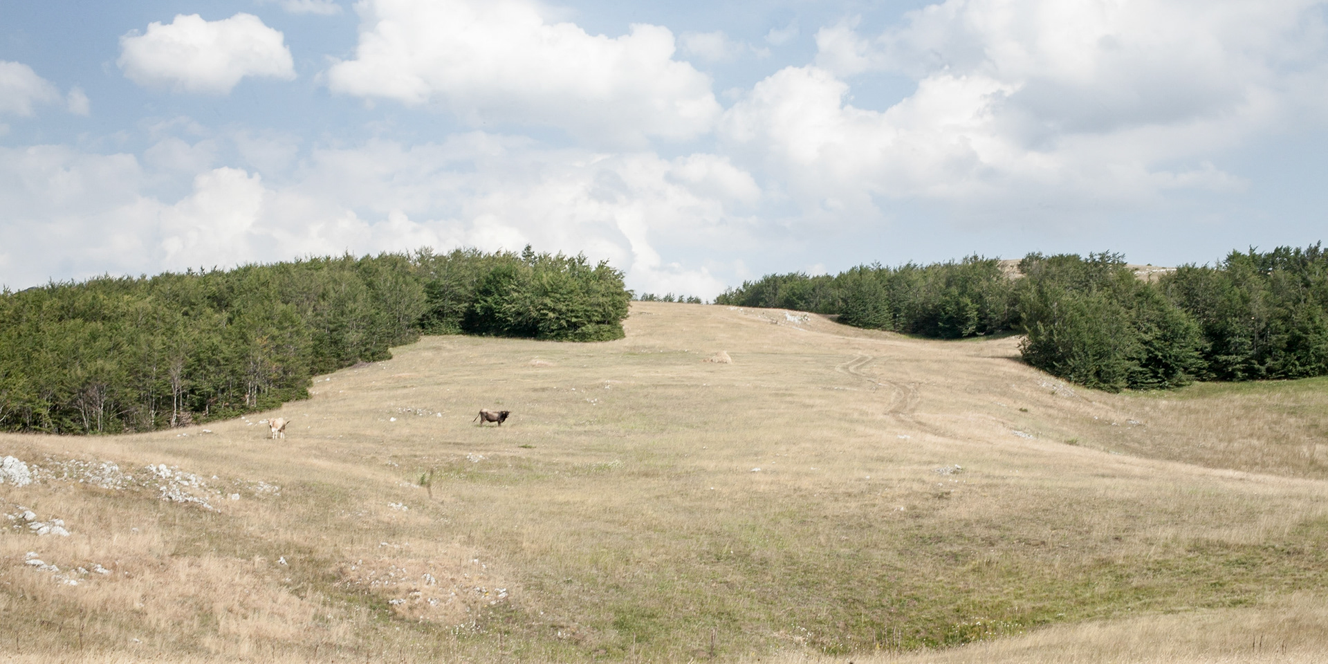 Durmitor Park / Montenegro