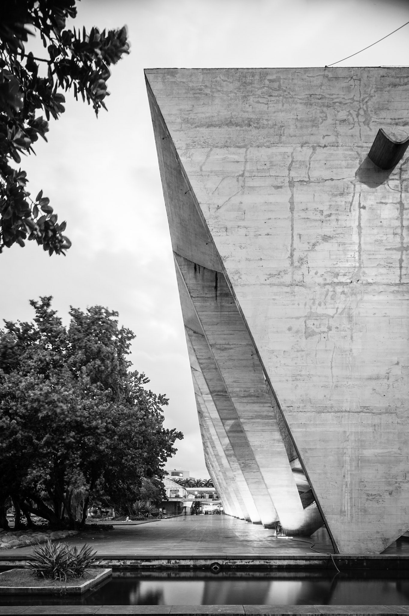 MAM, Modern Art Museum / Rio de Janeiro / Affonso Eduardo Reidy