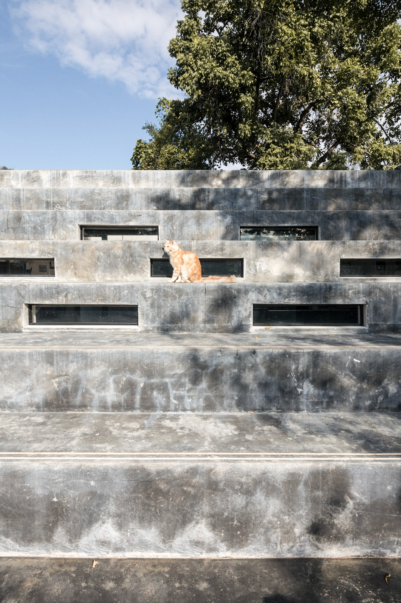 Fuzzy House / Chiang Mai, Thailand / SO architects