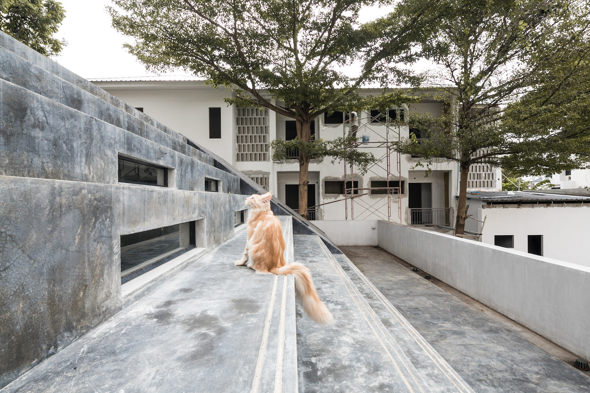 Fuzzy House / Chiang Mai, Thailand / SO architects