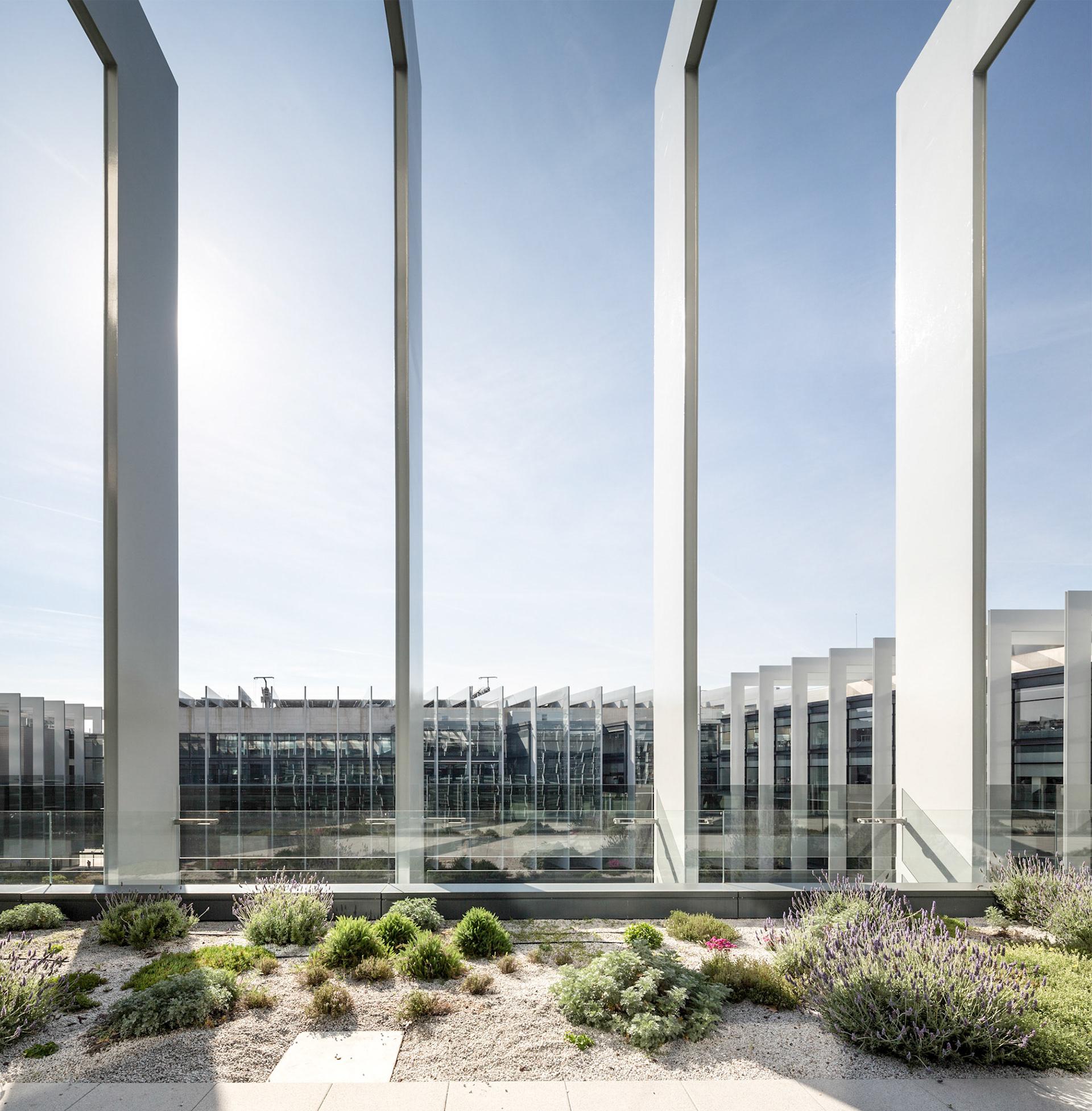 Campus Repsol Headquarters / Madrid, Spain / Rafael De La-Hoz