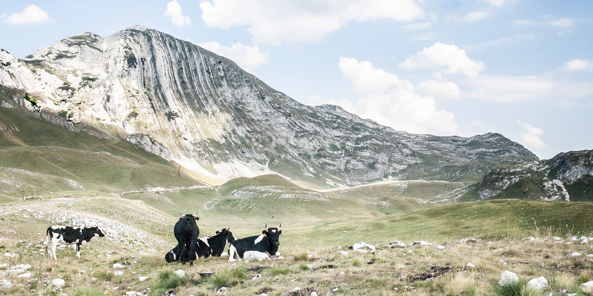 Durmitor Park / Montenegro