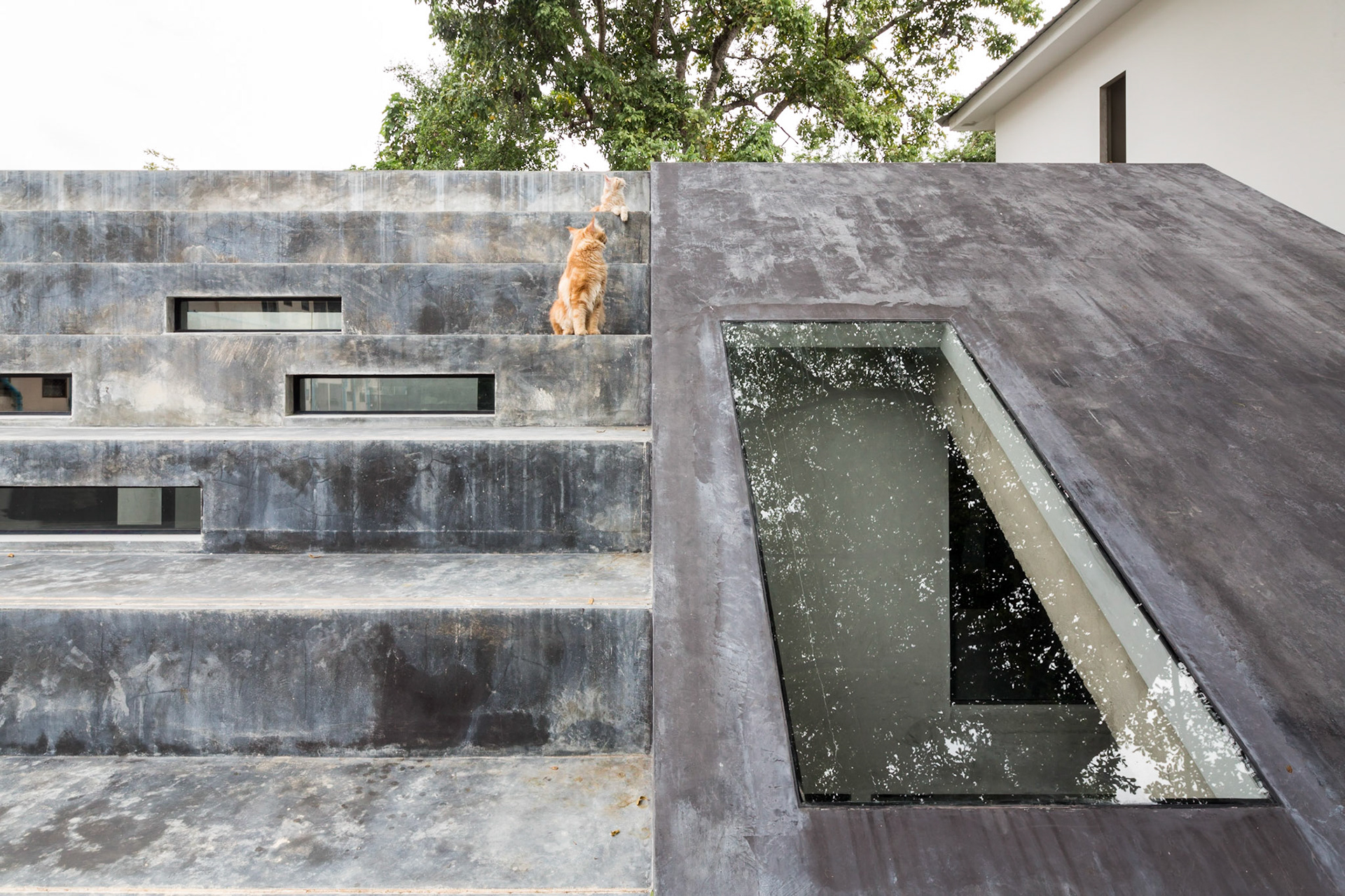 Fuzzy House / Chiang Mai, Thailand / SO architects