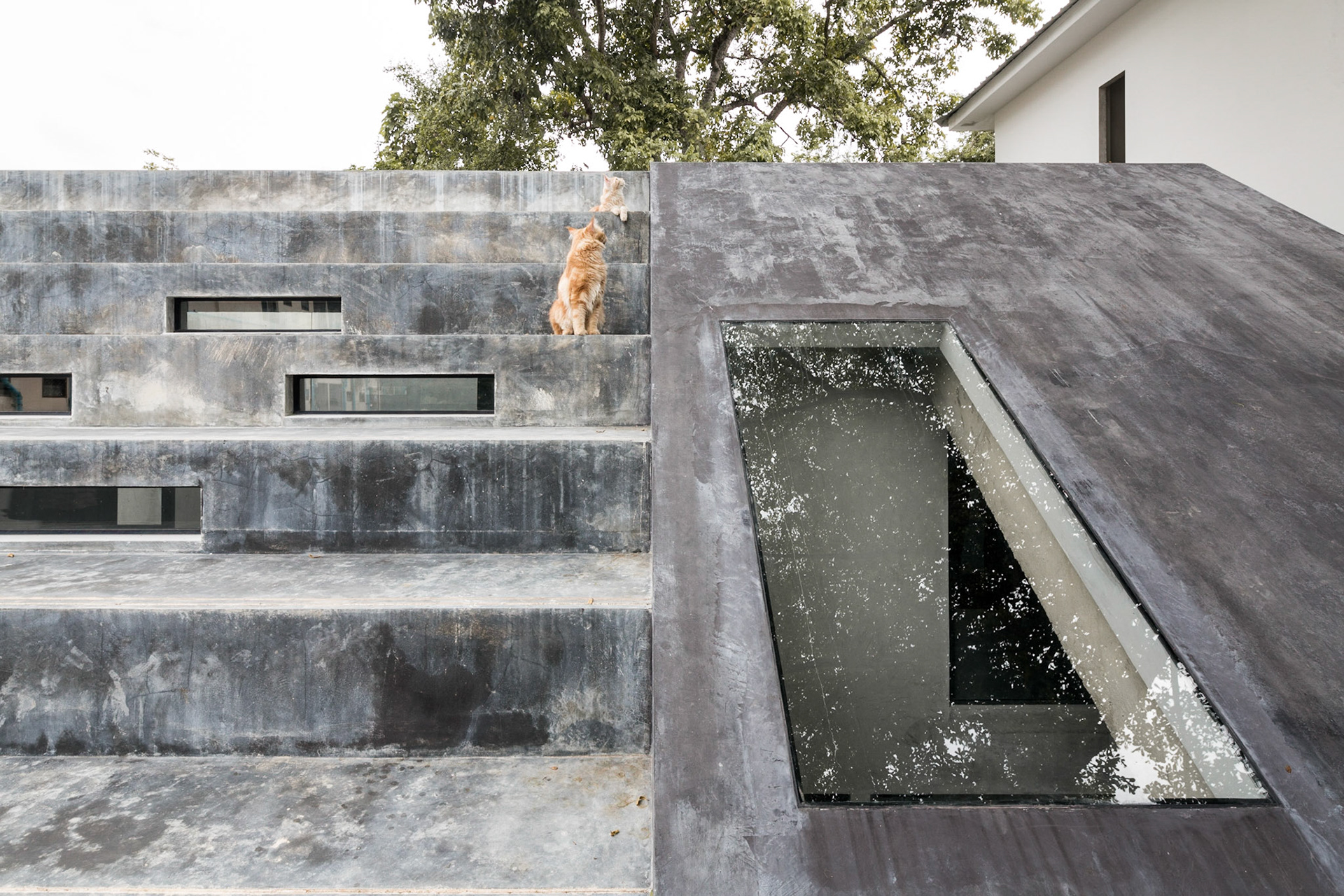 Fuzzy House / Chiang Mai, Thailand / SO architects