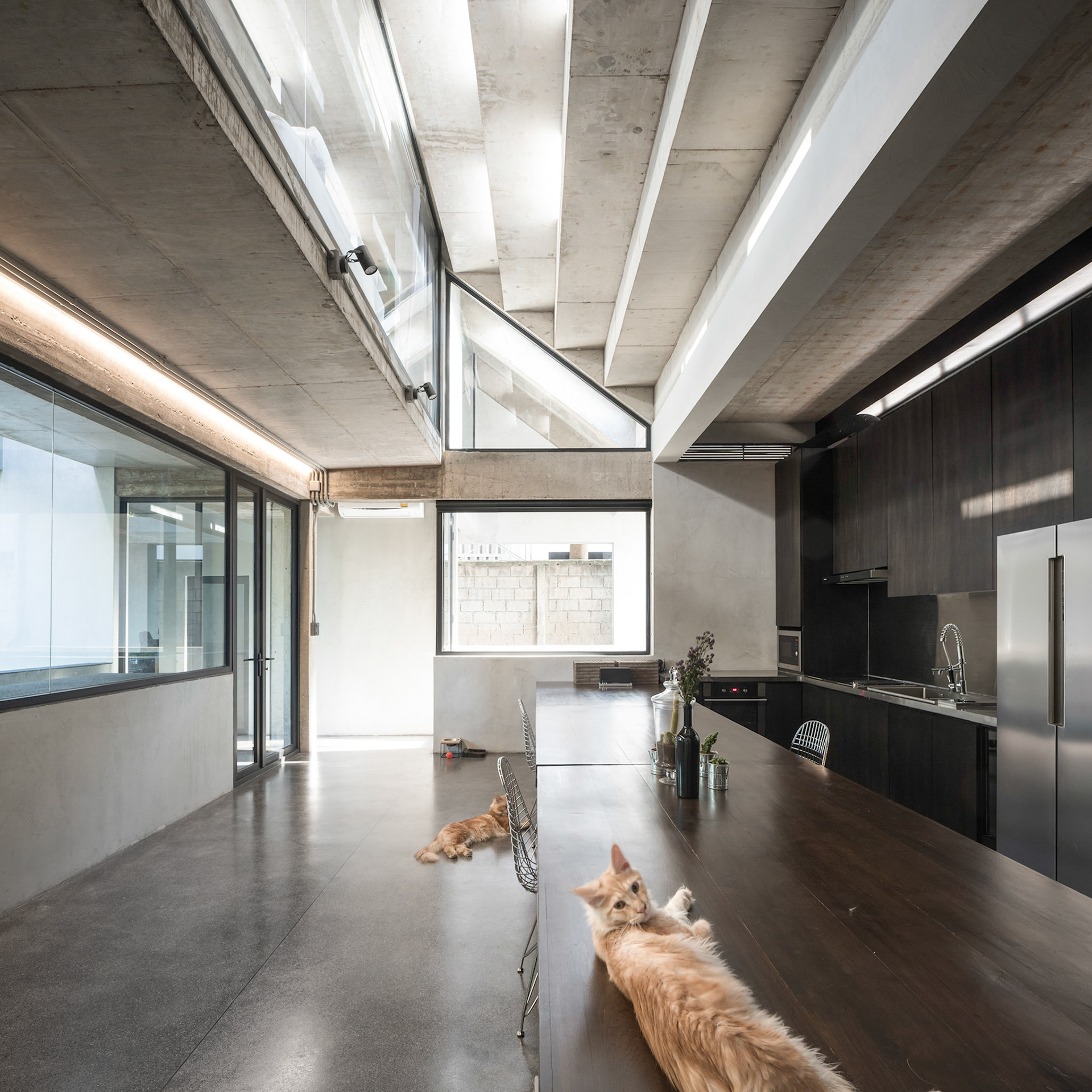 brutalism, Chiang Mai, concrete, filippo poli, Fuzzy House, raw, SO architects, Thailand
