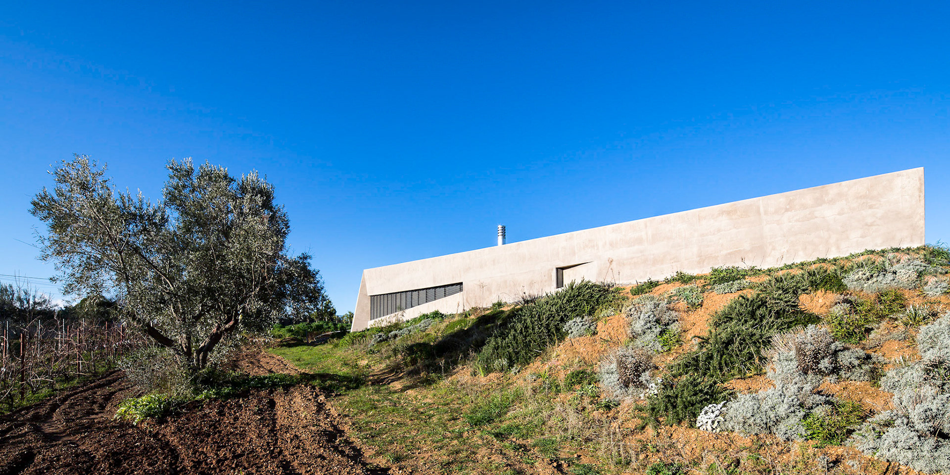Sikamino House / Sikamino, Greece / Tense Architecture Network