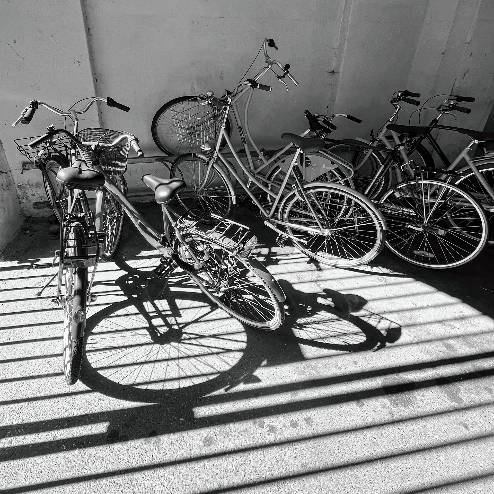 bikes