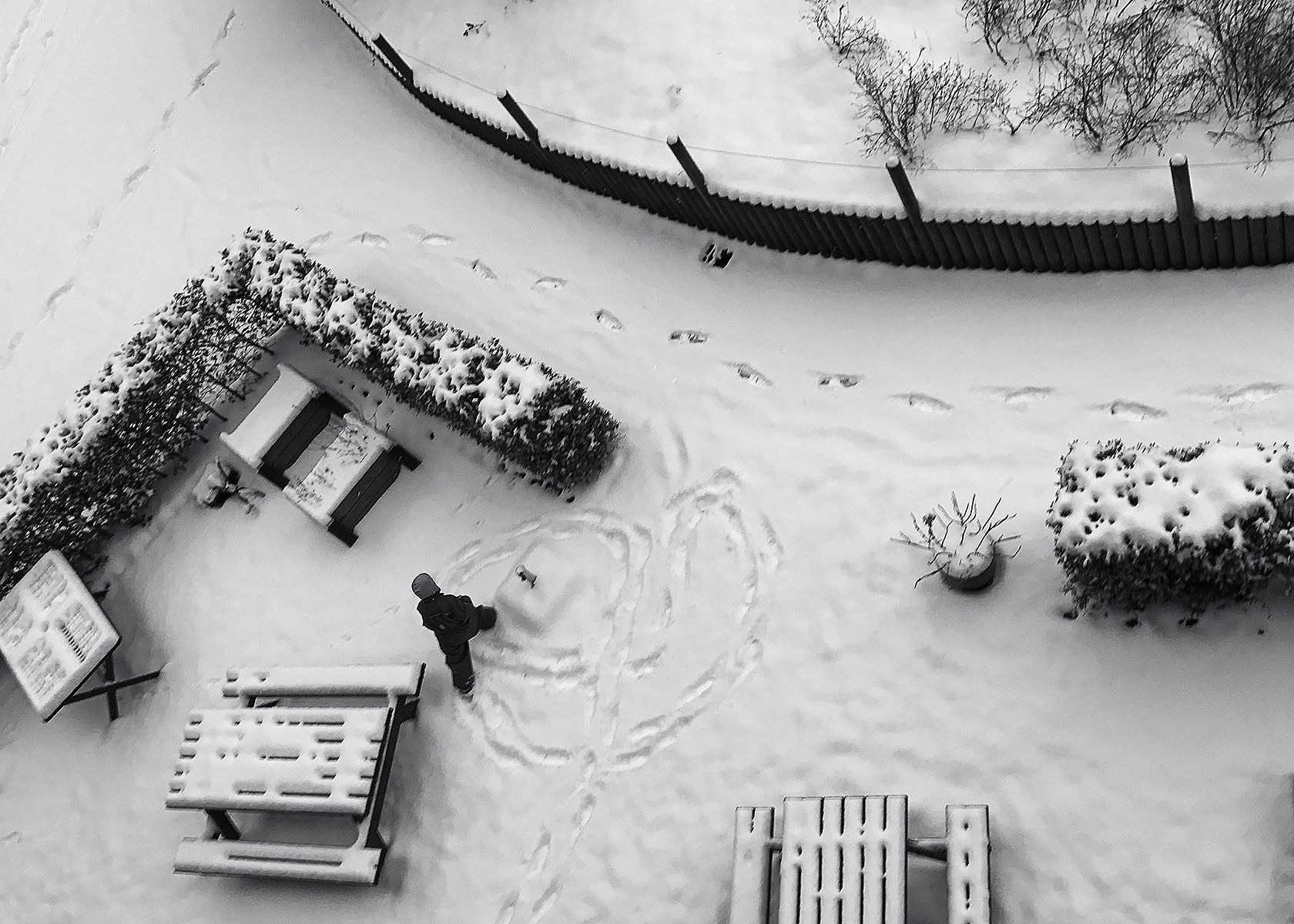 winter