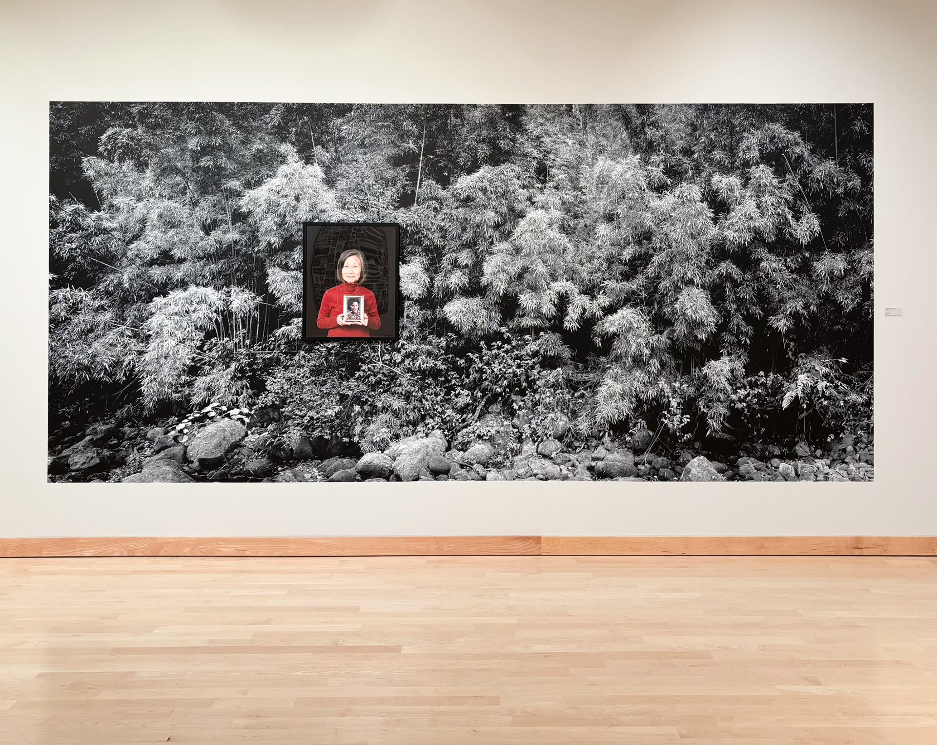 Linda and Mother Mee Yen “Wan” Moy framed archival pigment print, synthetic adhesive vinyl 7' x 15' 2024