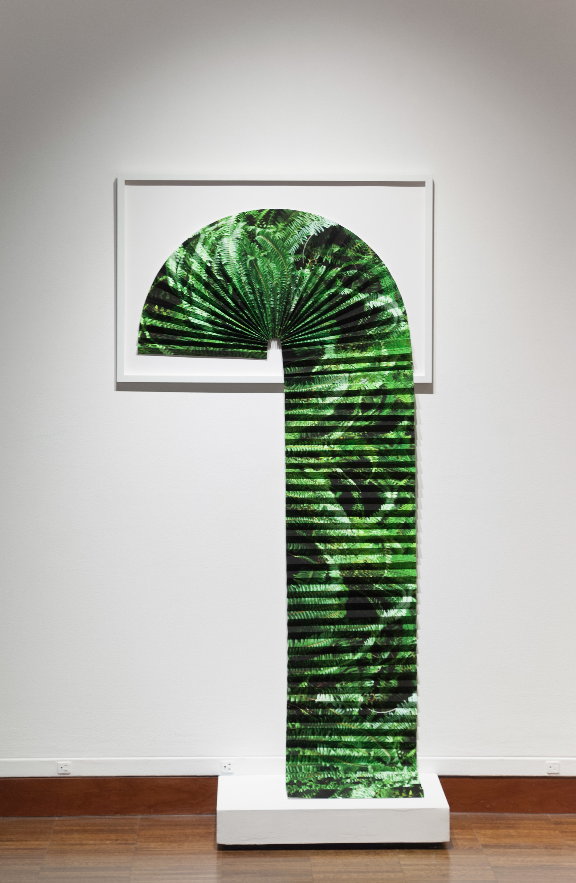Fern Fan, 2017