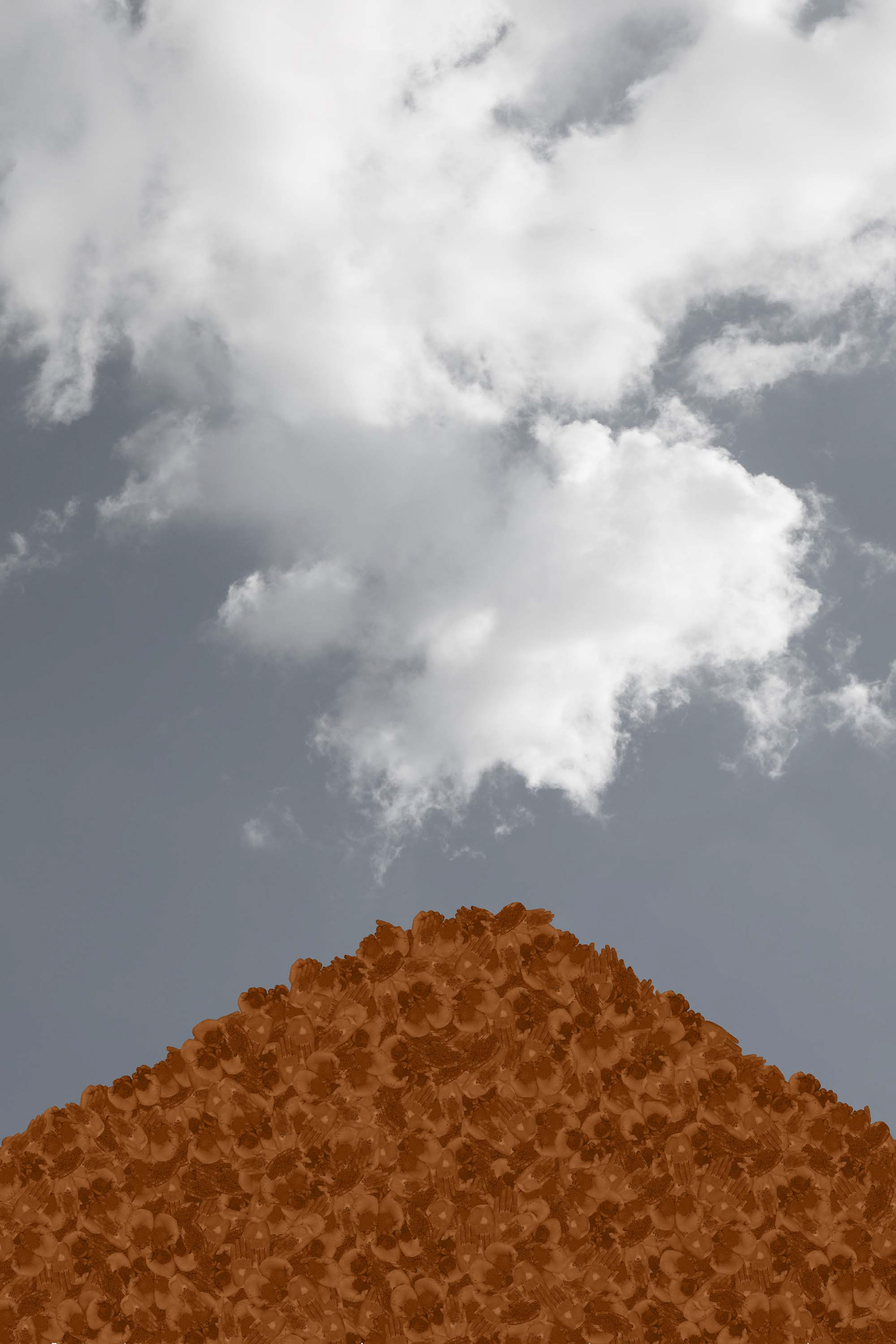 Red Dirt, 2018