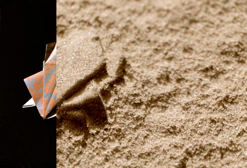 Koeru: Lucky Frog, 2007